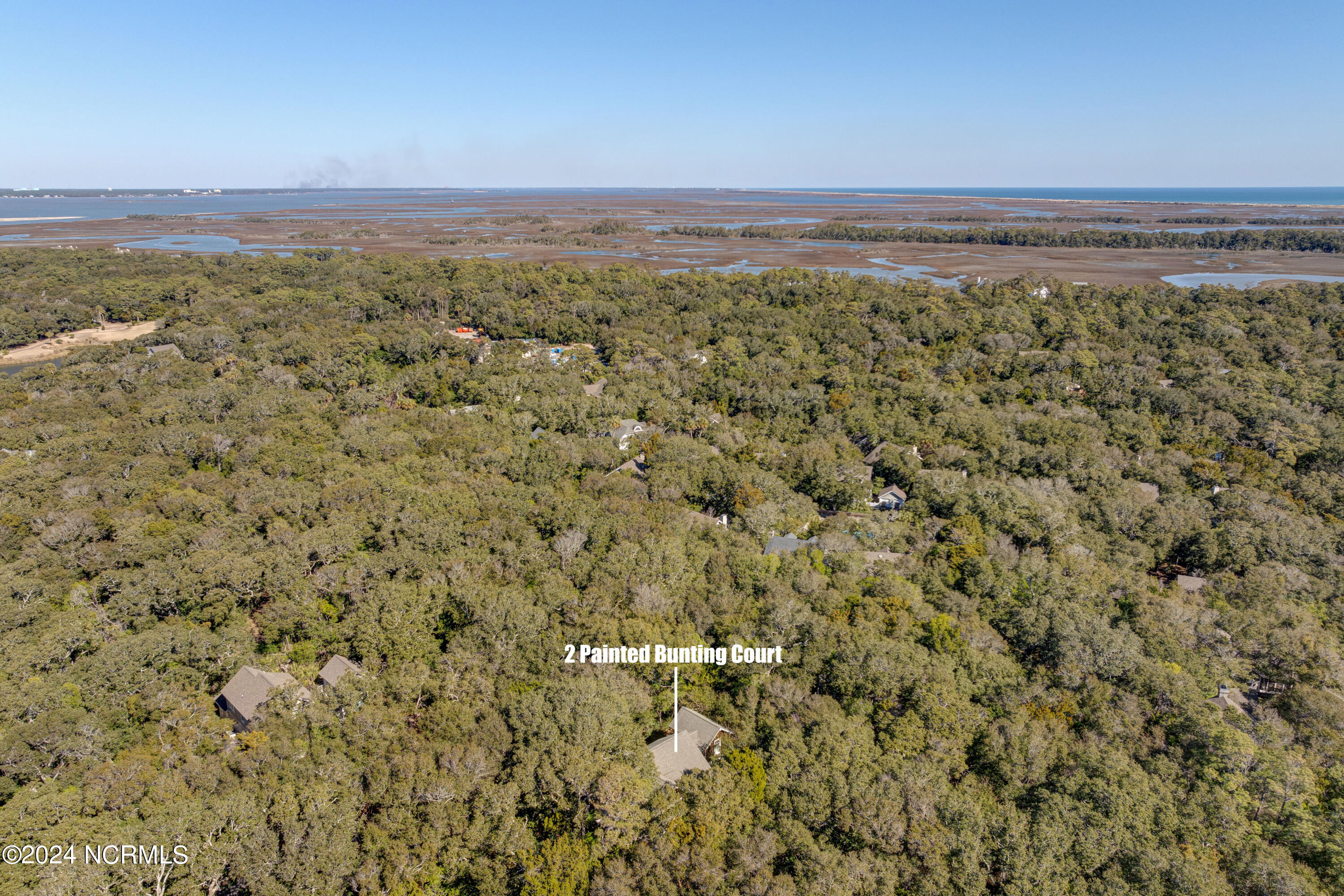 2 Painted Bunting Court