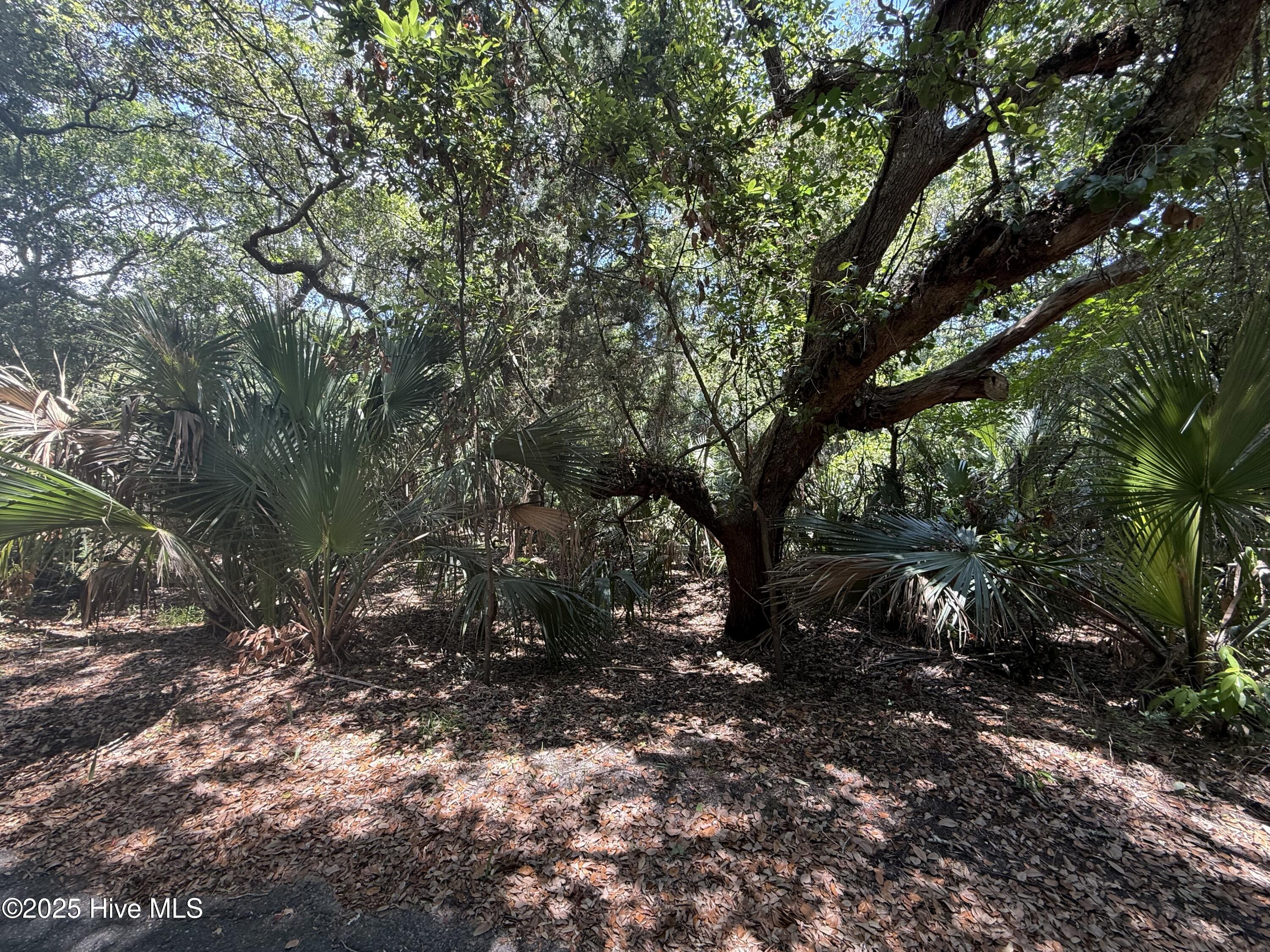 9 926 Red Cedar Trail