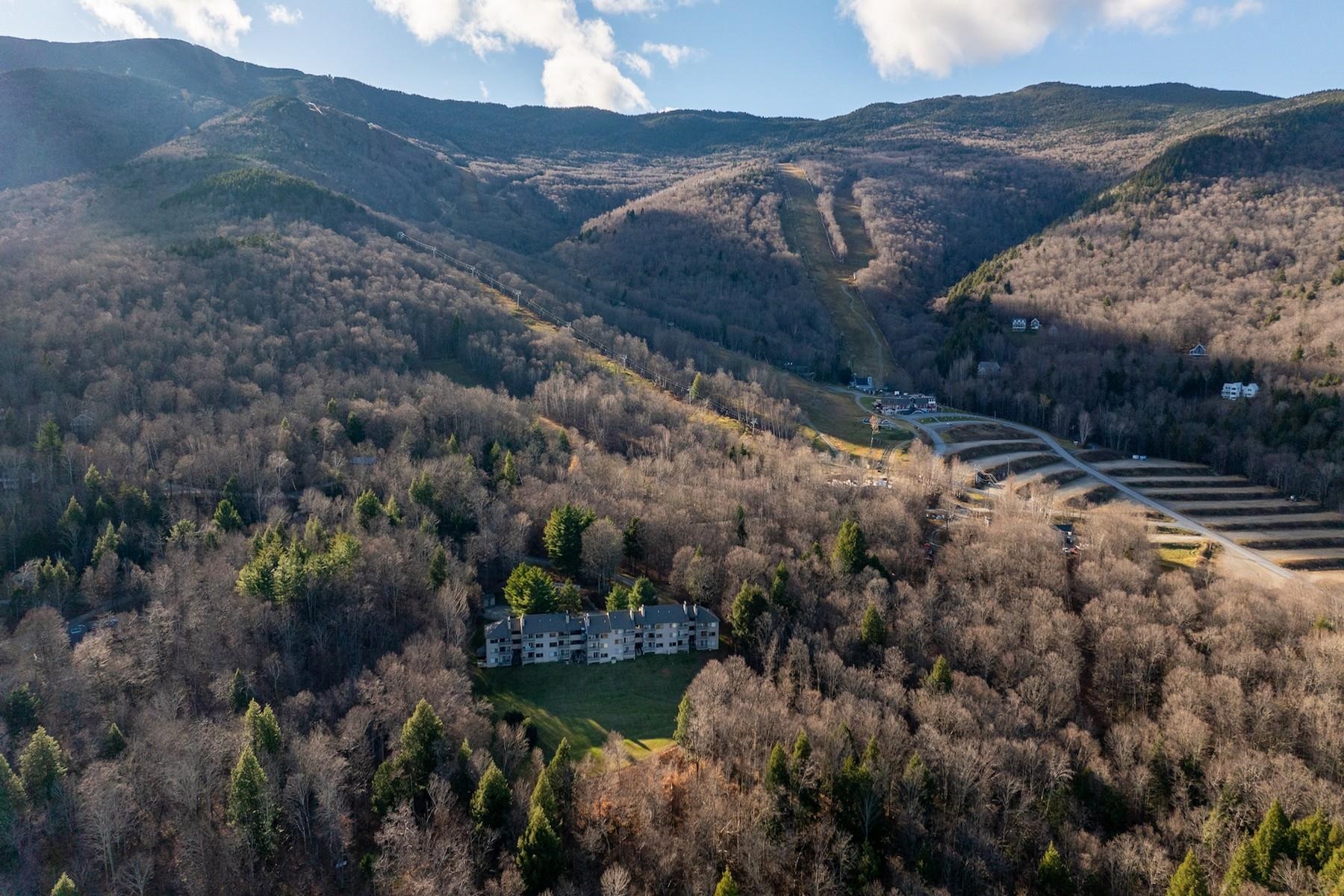 105 Snowside Drive Unit: 22