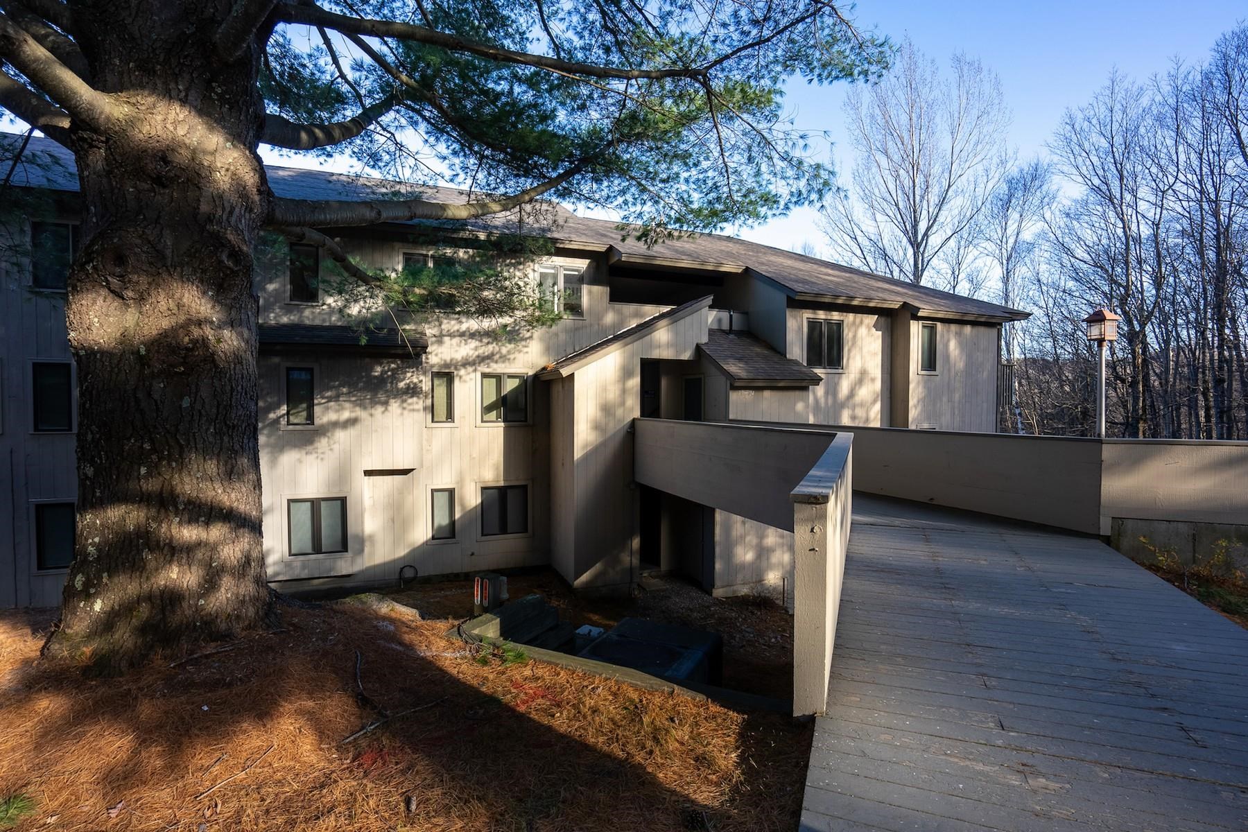 105 Snowside Drive Unit: 22