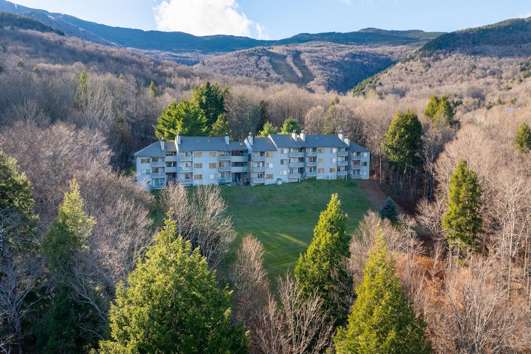 105 Snowside Drive Unit: 22
