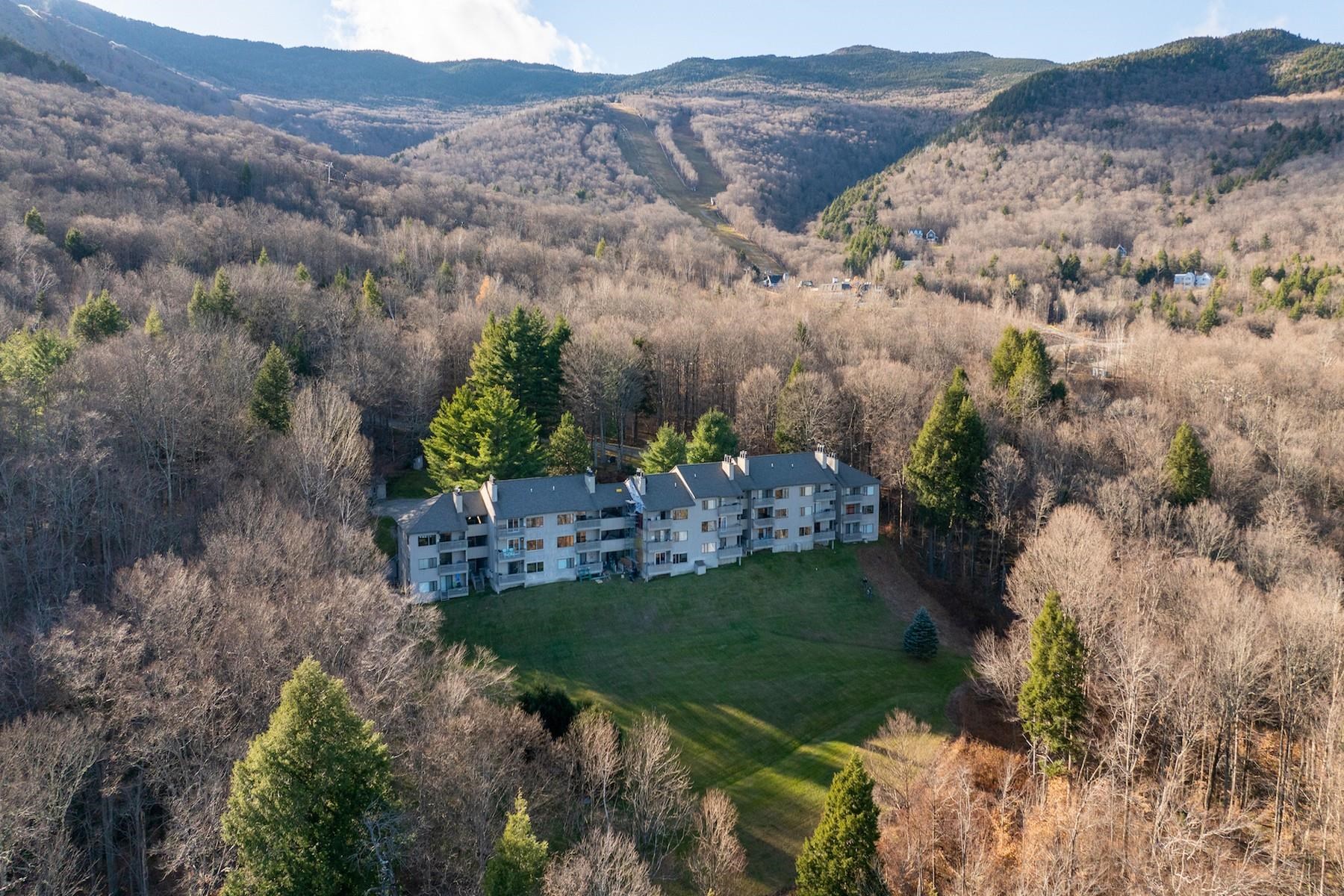 105 Snowside Drive Unit: 22
