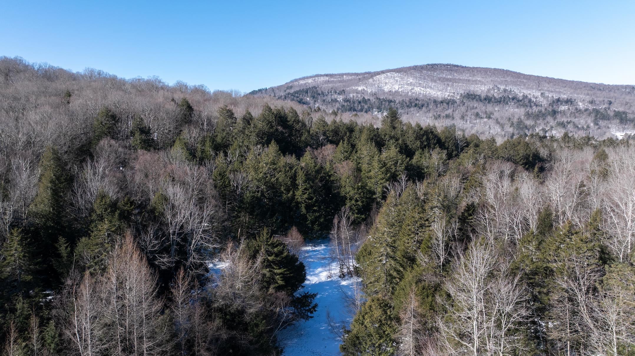 84 Beartown Road