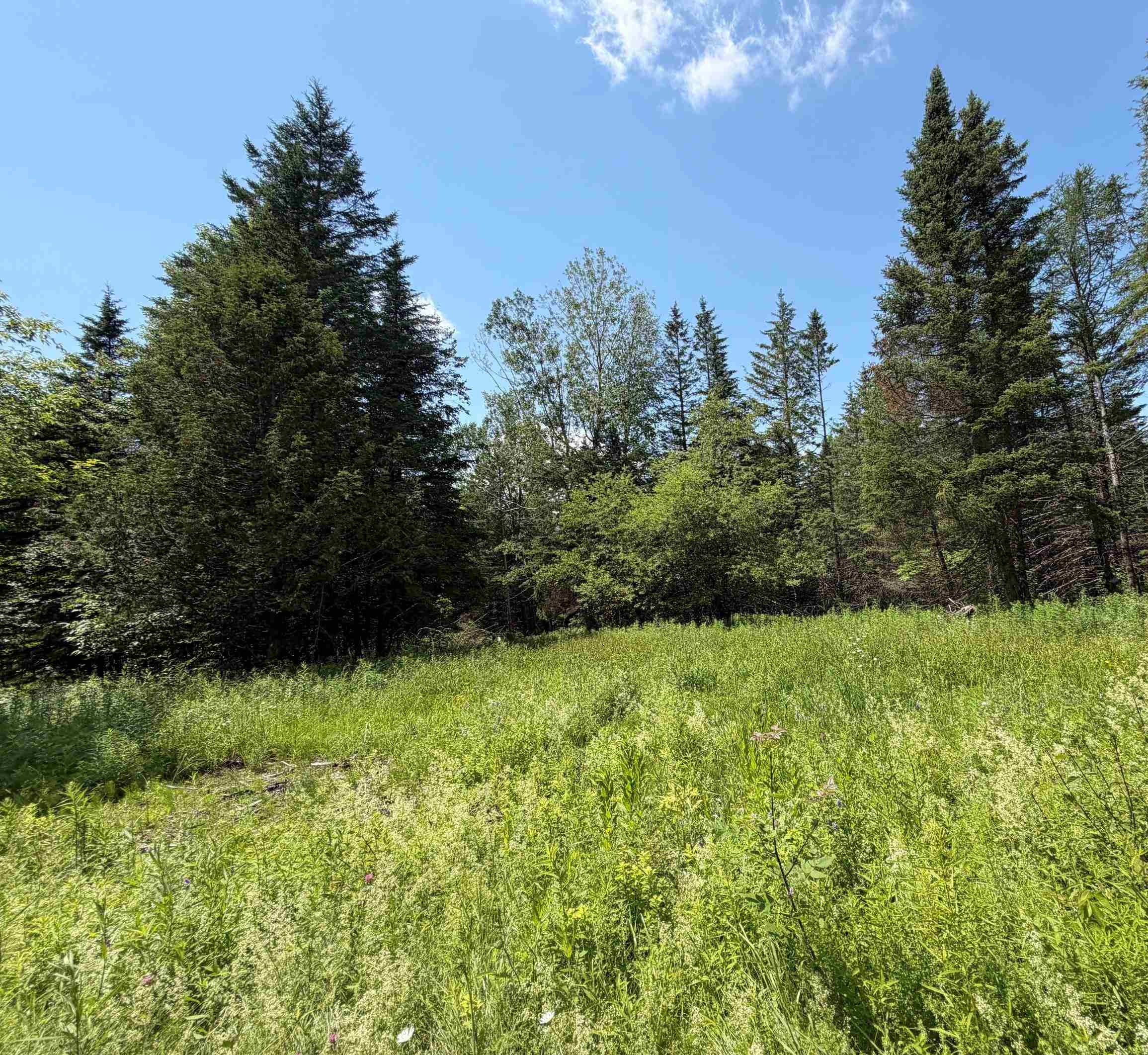 1090 Center Road Unit: Lot #3