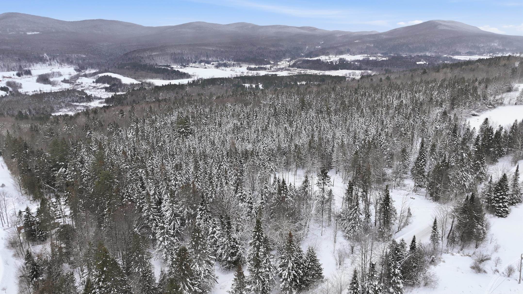 1090 Center Road Unit: Lot #3