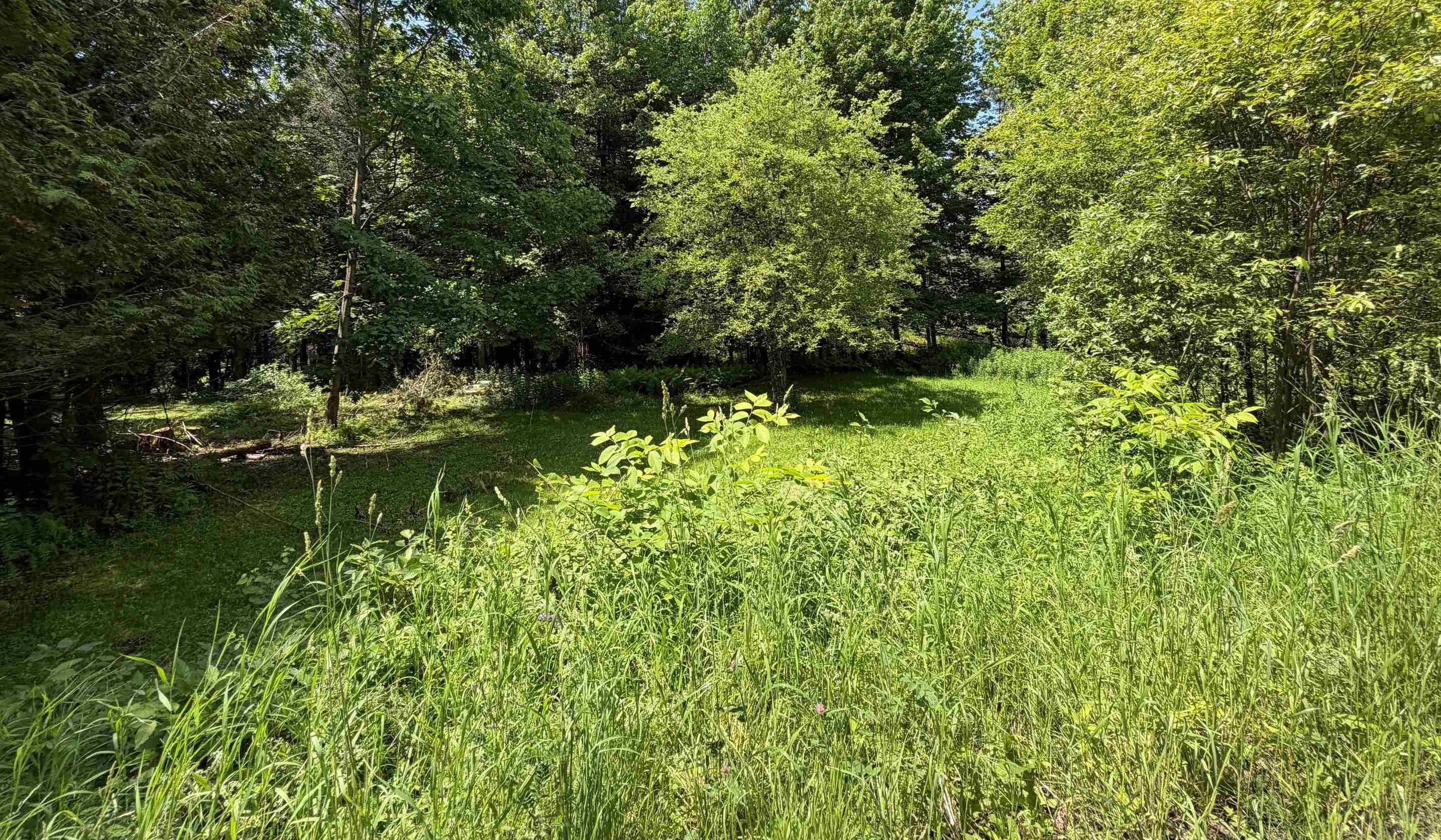 1090 Center Road Unit: Lot #3