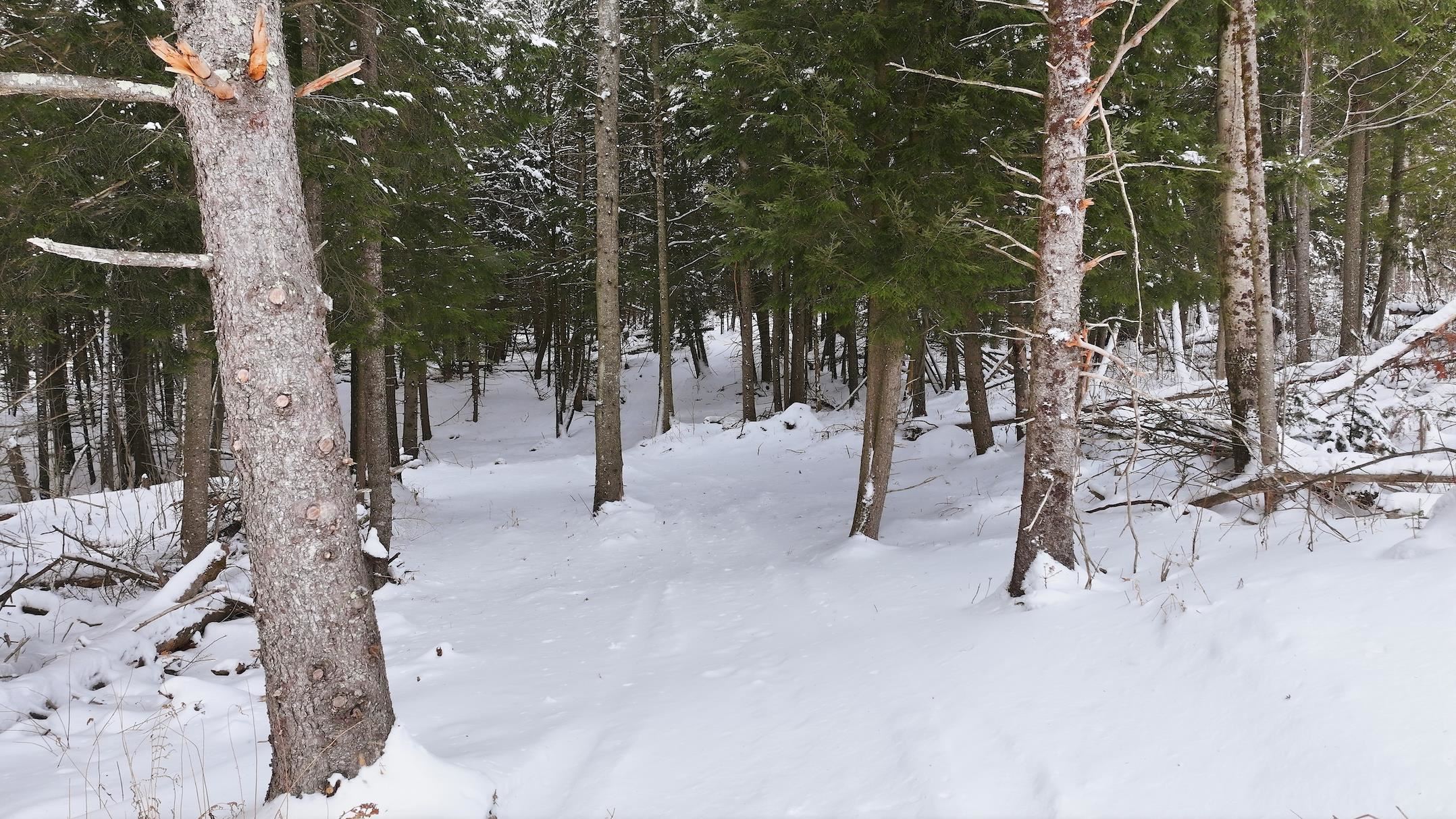 1090 Center Road Unit: Lot #3
