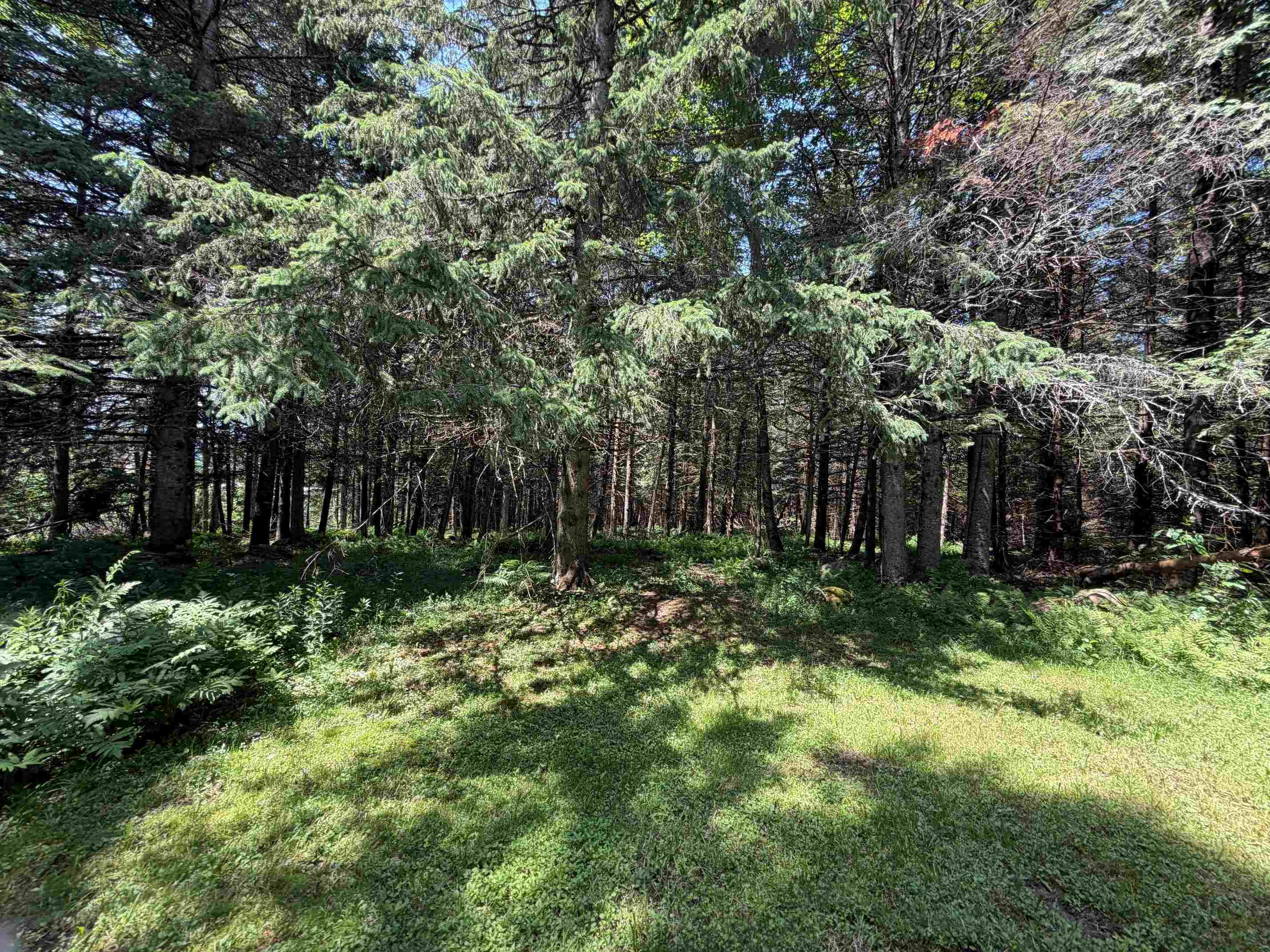 1090 Center Road Unit: Lot #3
