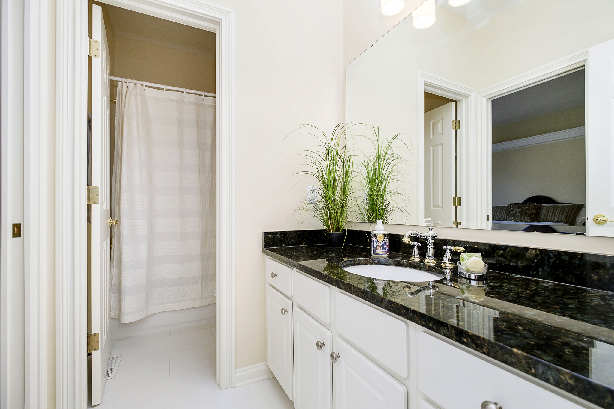 11660 Pebblepointe Pass