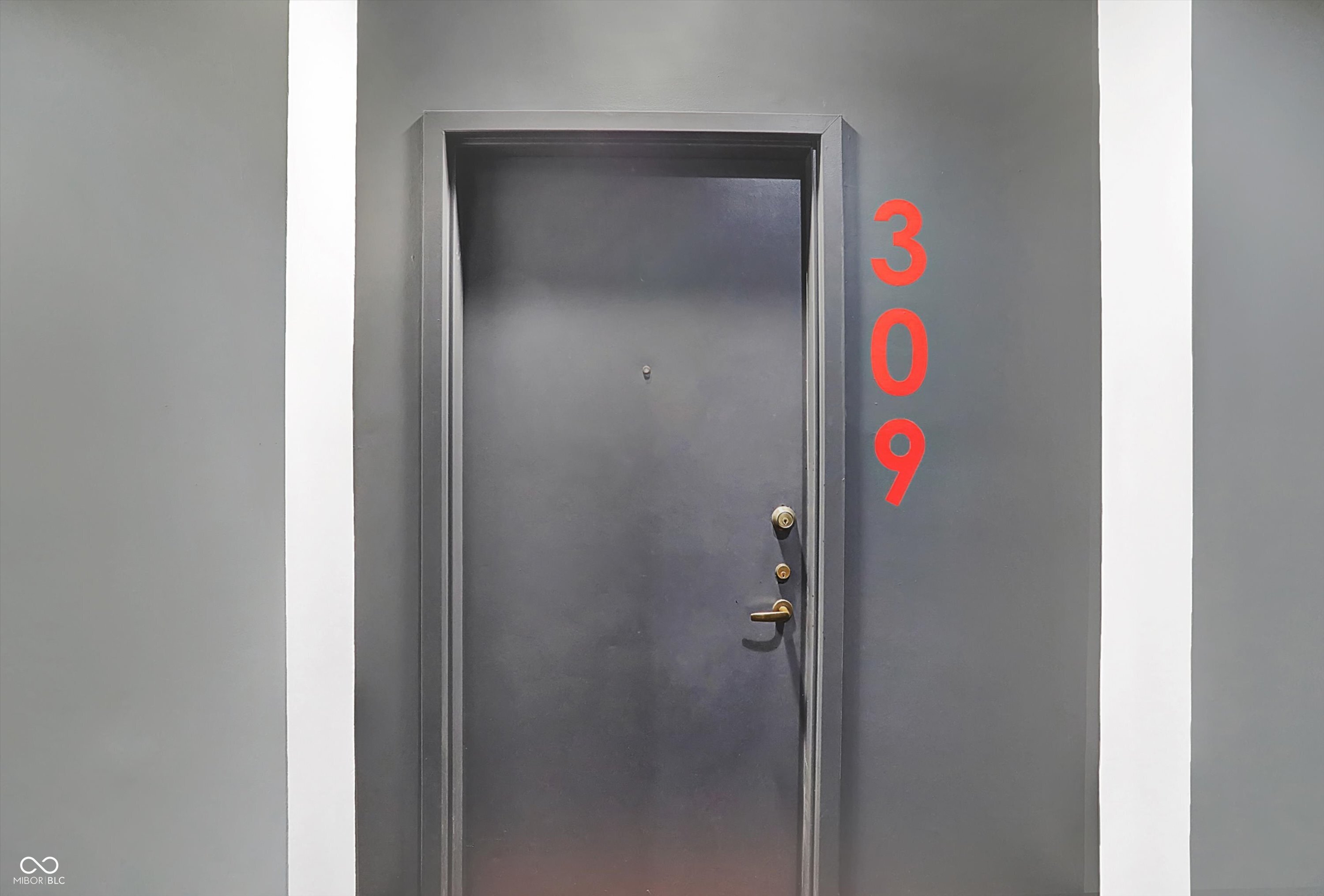 430 N Park Avenue Unit: 309