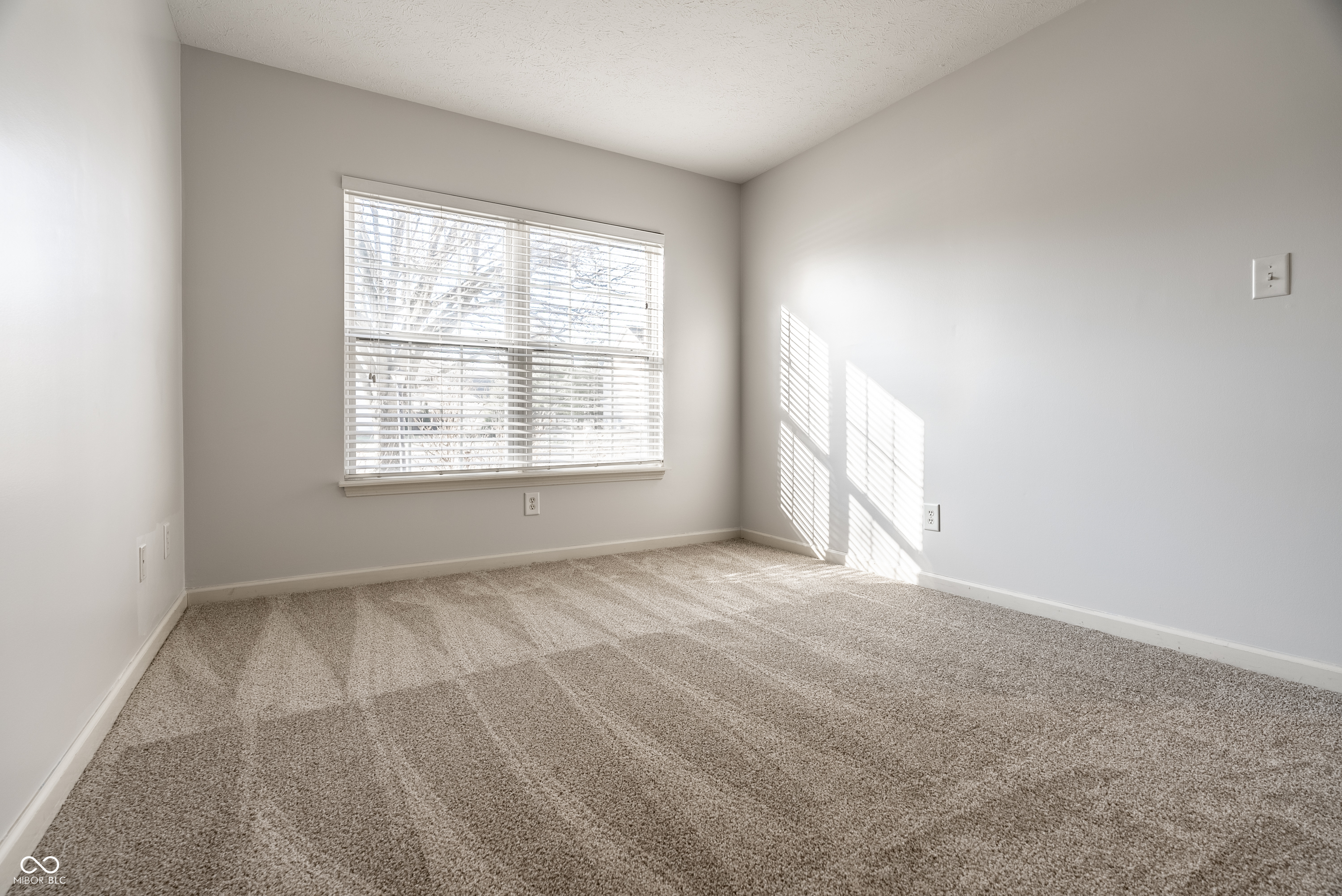 5896 Hollow Oak Trail