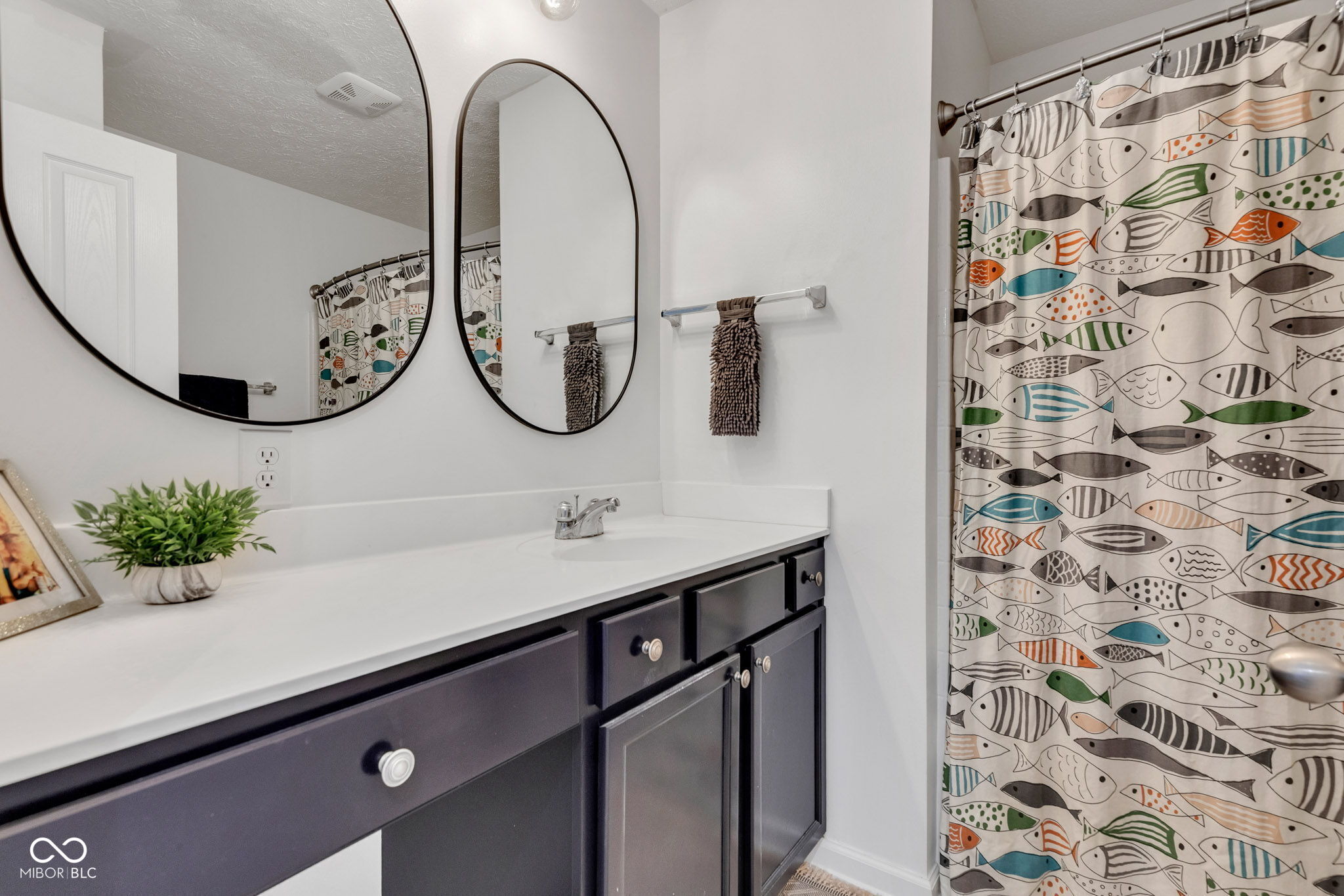 8973 Carnation Drive