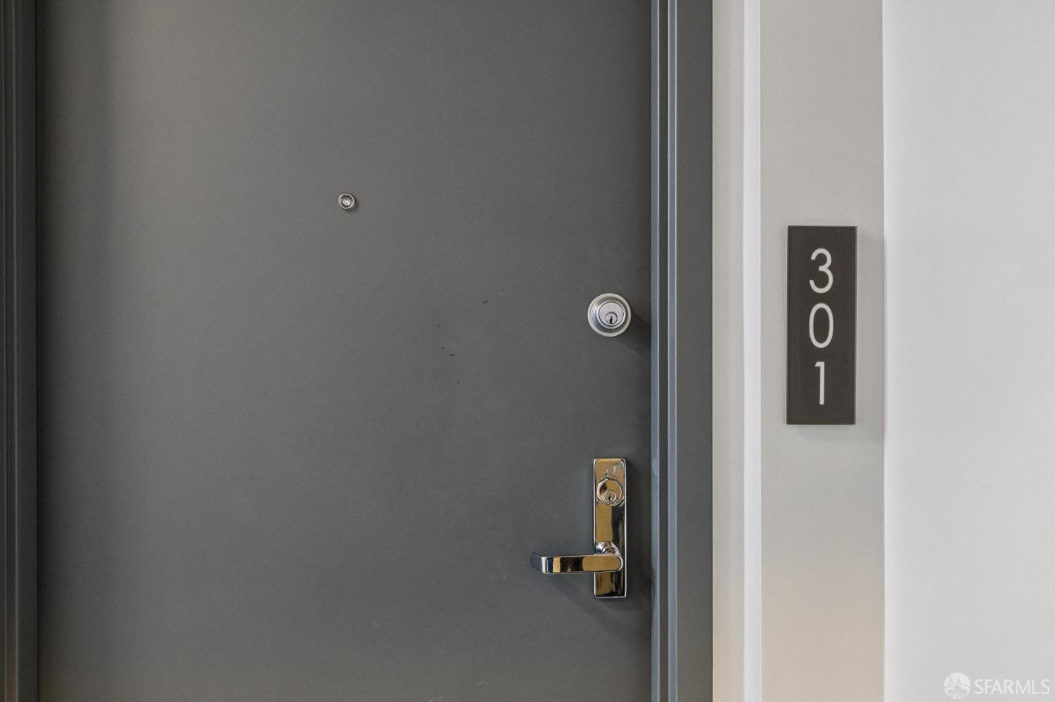 Gray entry door with silver hardware and a plaque marked 301.