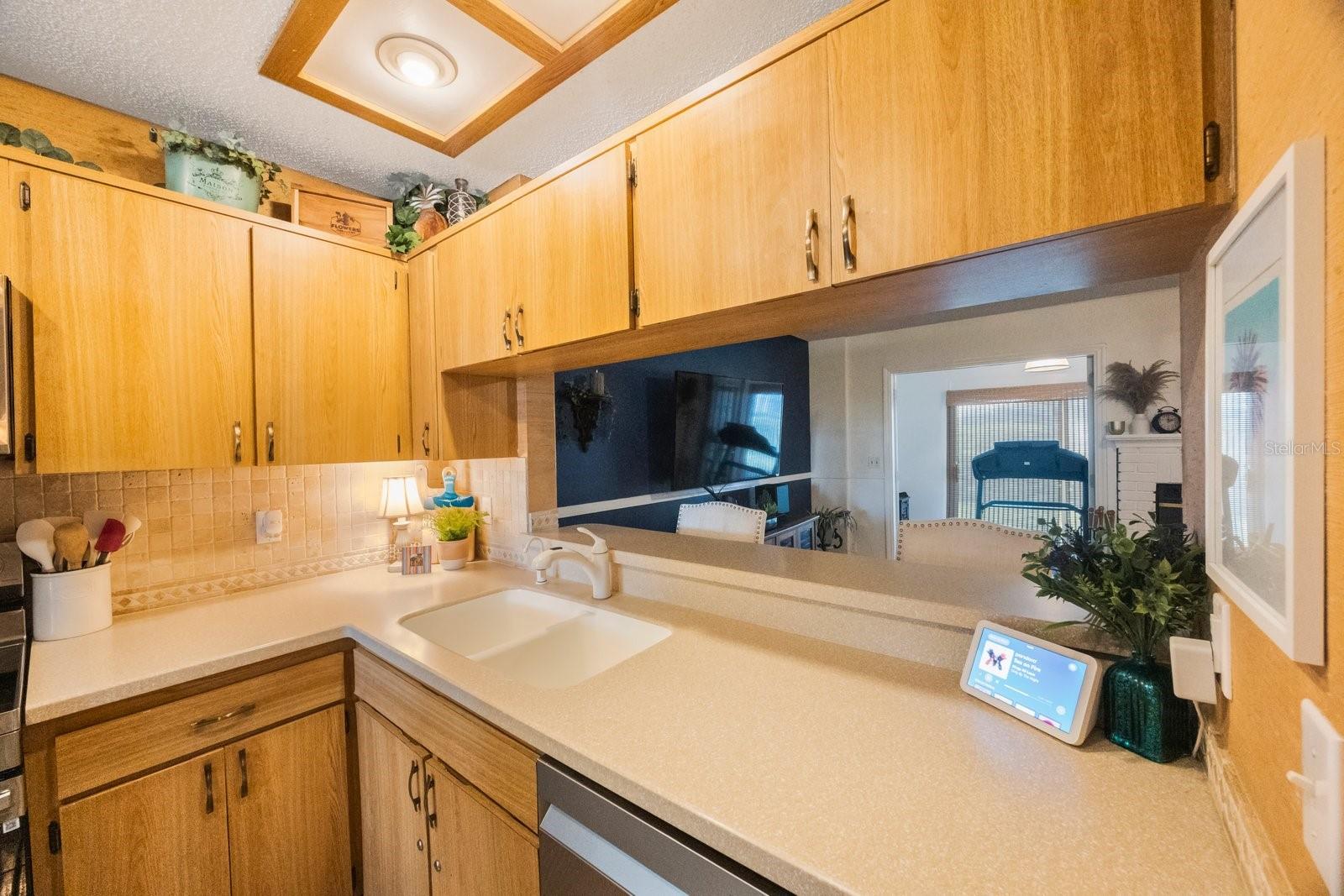 4238 BRENTWOOD PARK CIR