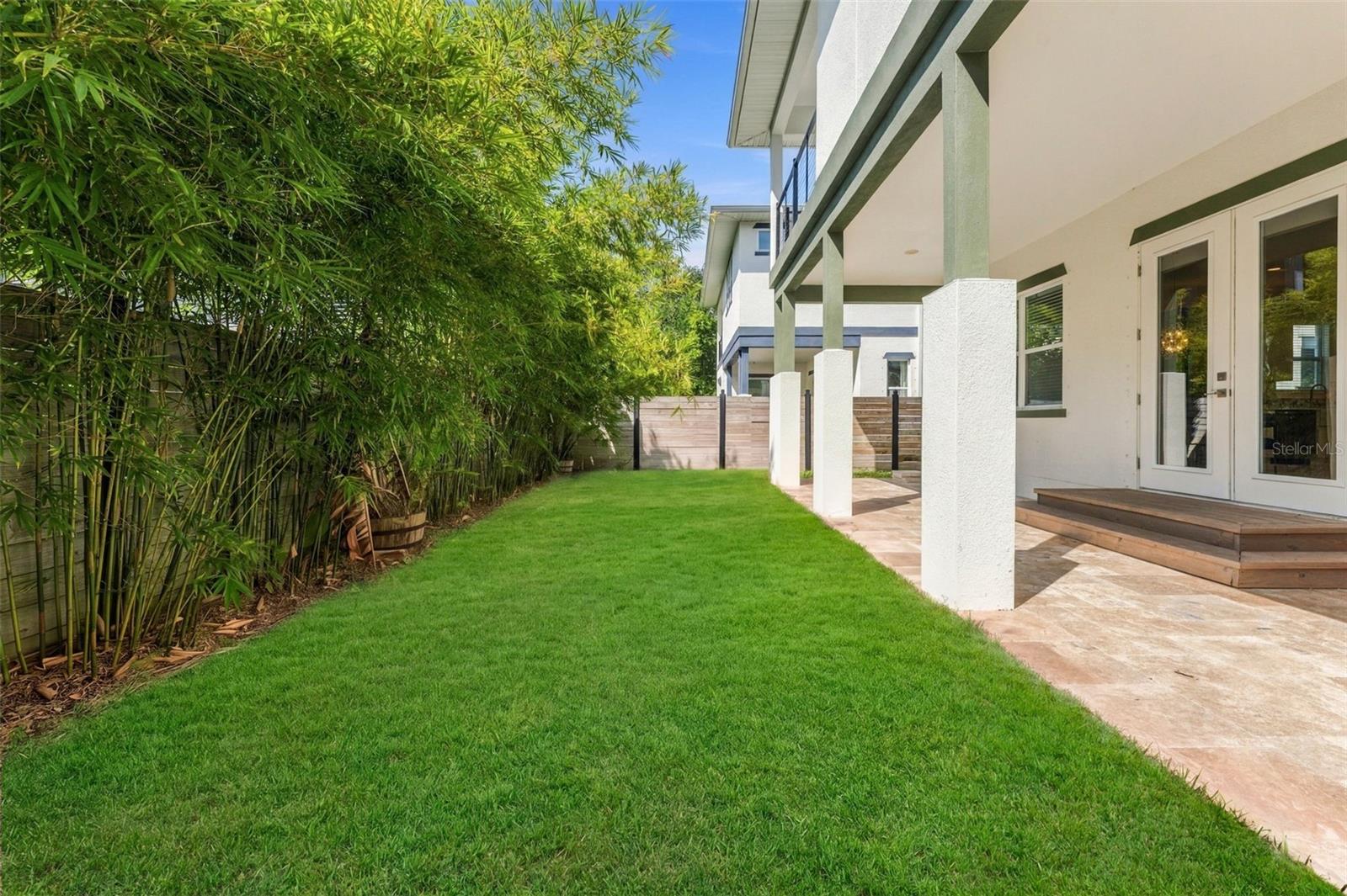Modern home’s backyard with a broad lawn, bamboo privacy screen, and covered stone patio.