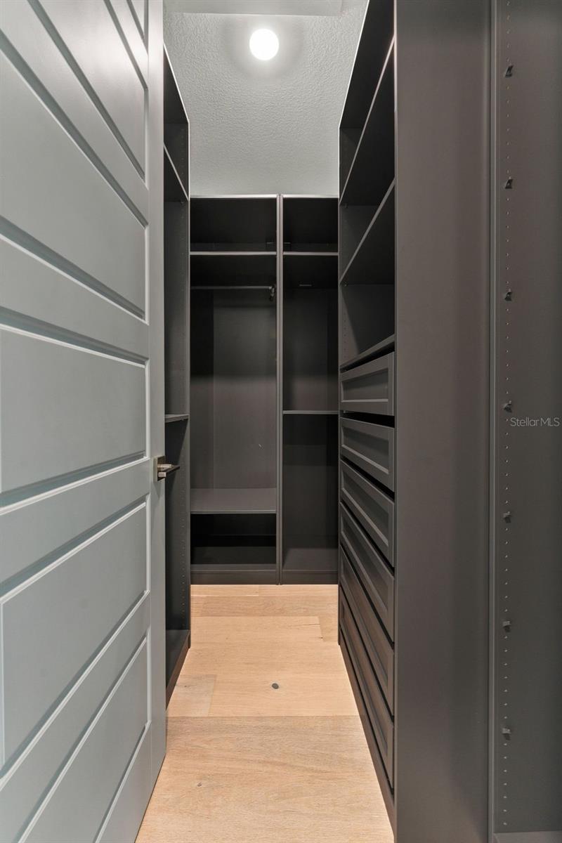 Walk-in closet with dark built-in shelving and drawers, light wood flooring, and an open paneled door.
