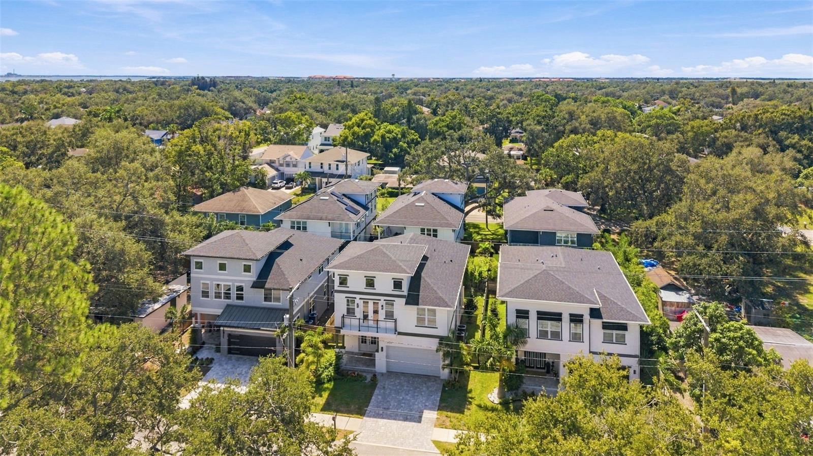 Aerial view of modern homes among mature trees in a leafy Tampa neighborhood.