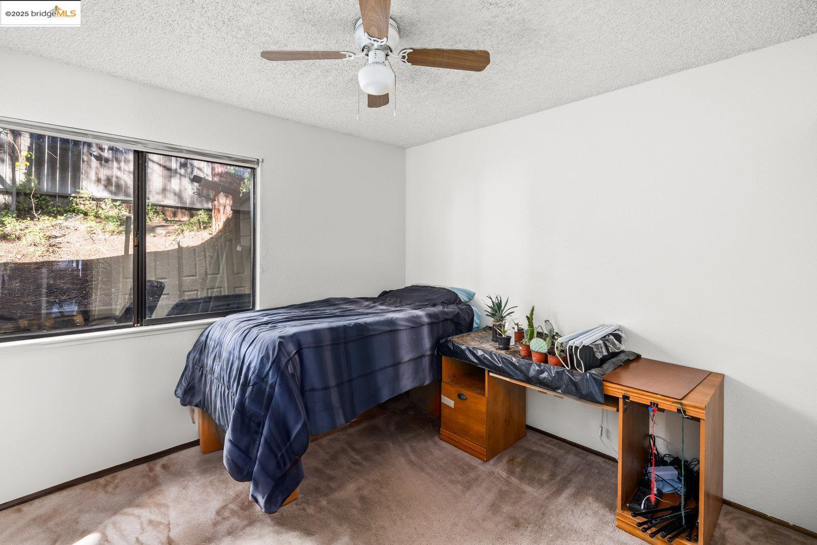 2920 Bellflower Dr