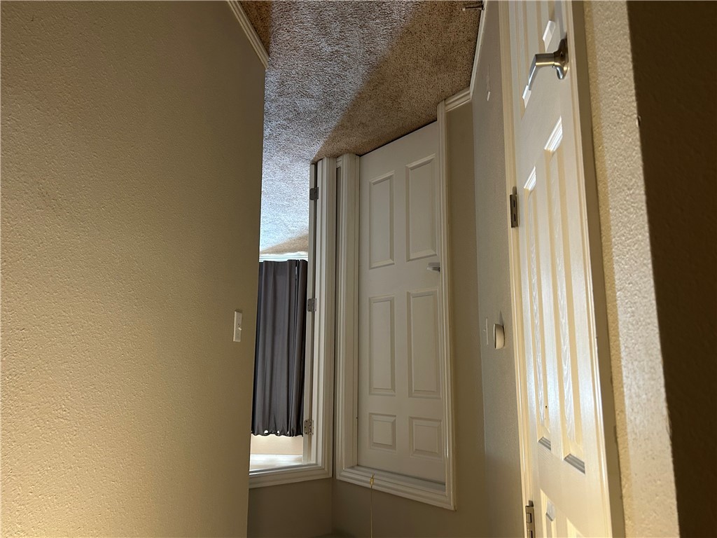 1001 Krenek Tap Road 803