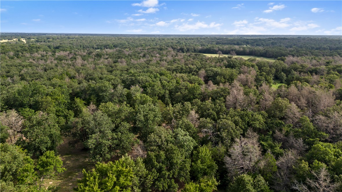469 County Road 272