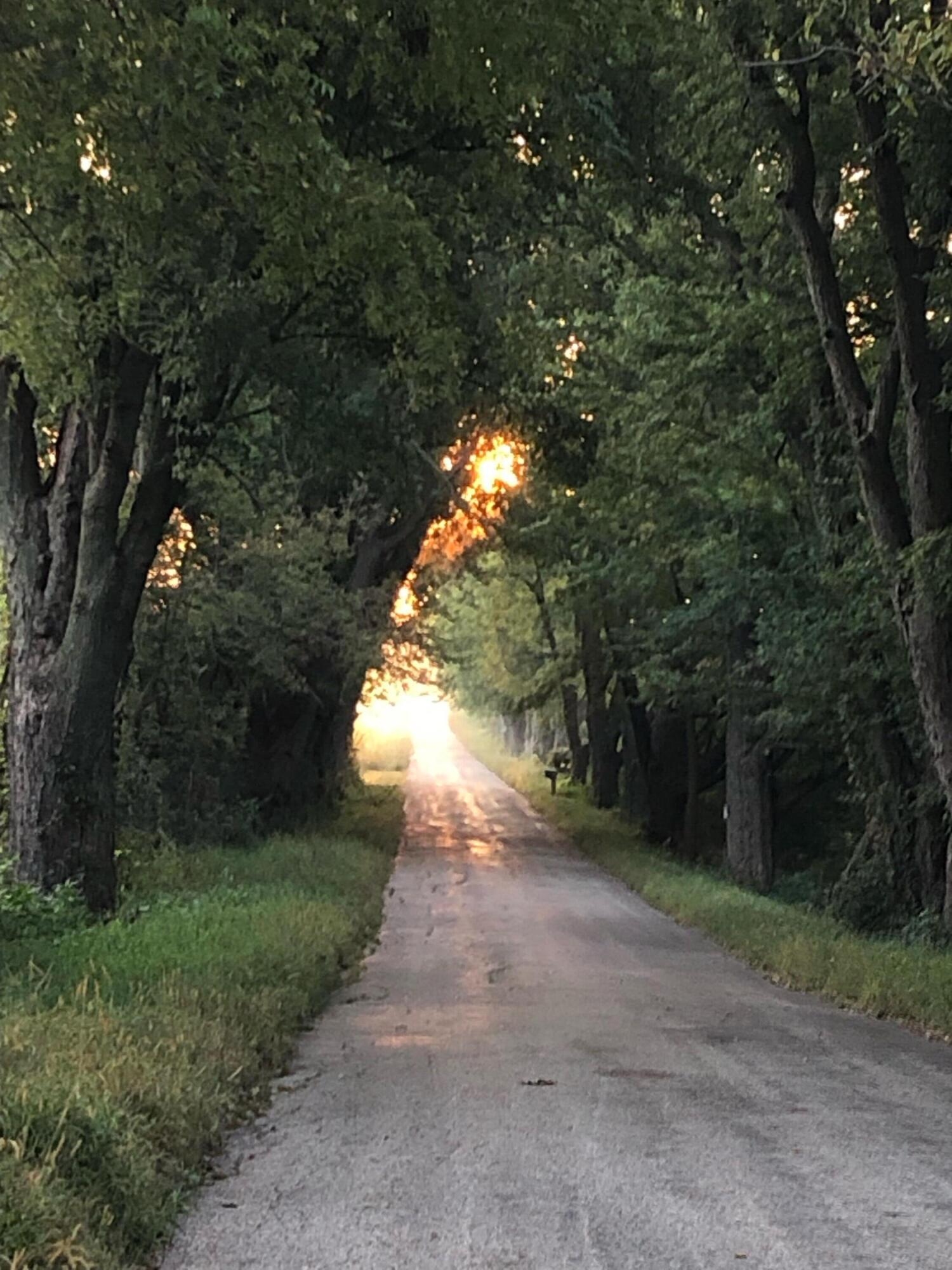 N3317 Schmidt Rd