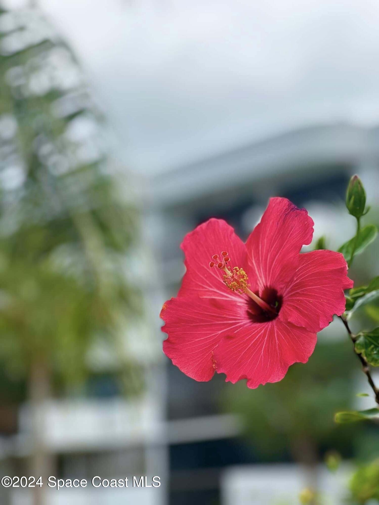 300 Columbia Drive 1103