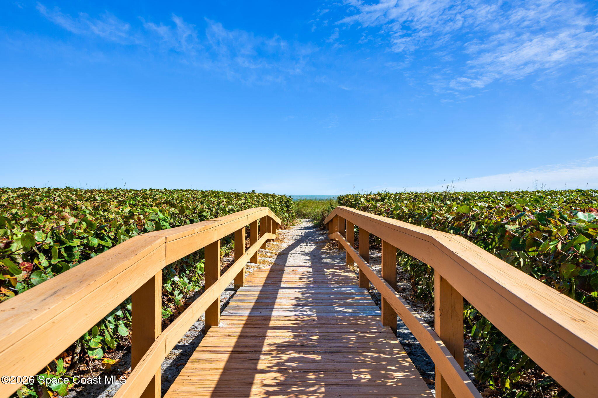 8498 Ridgewood Avenue 2305