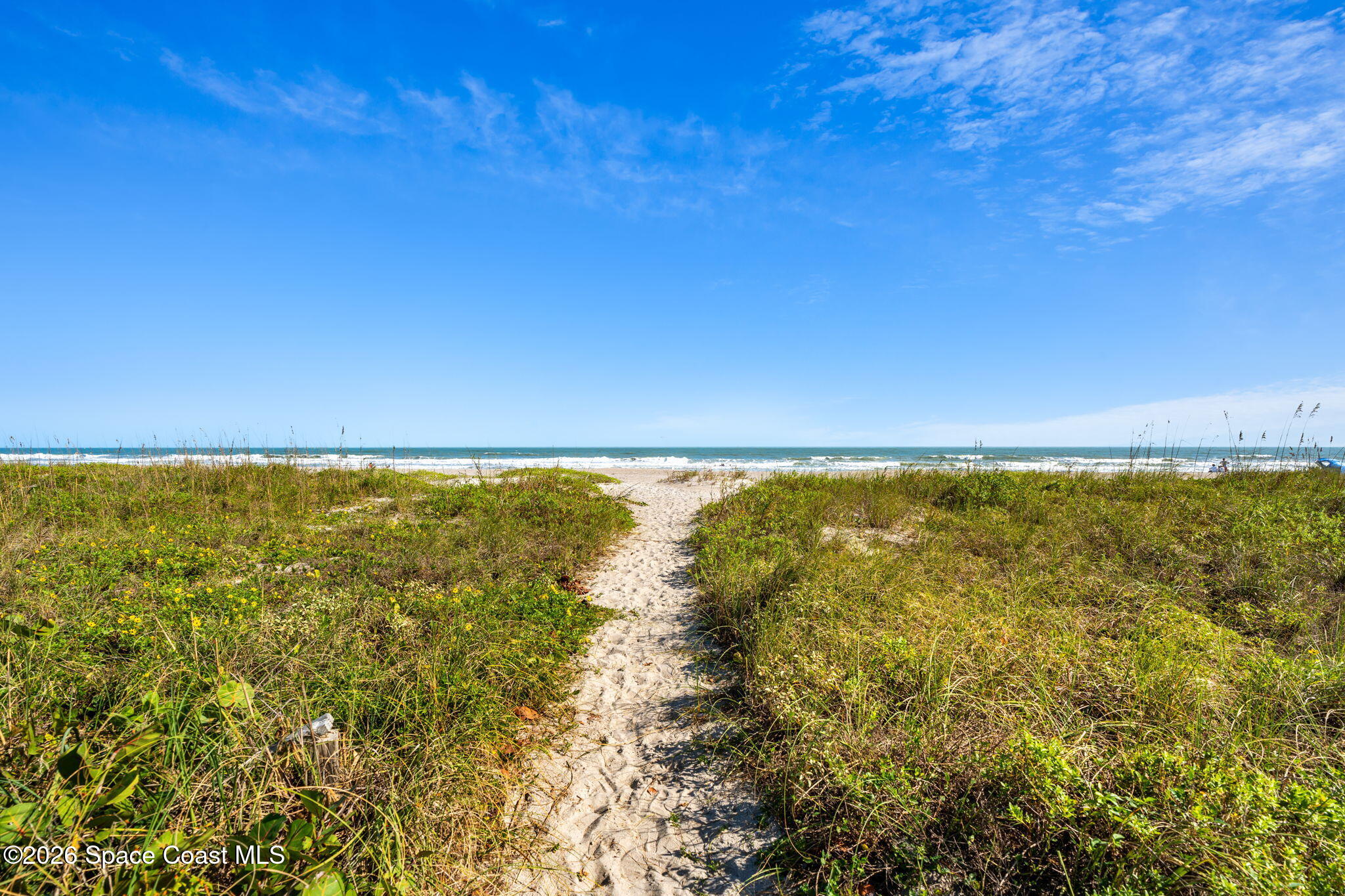 8498 Ridgewood Avenue 2305