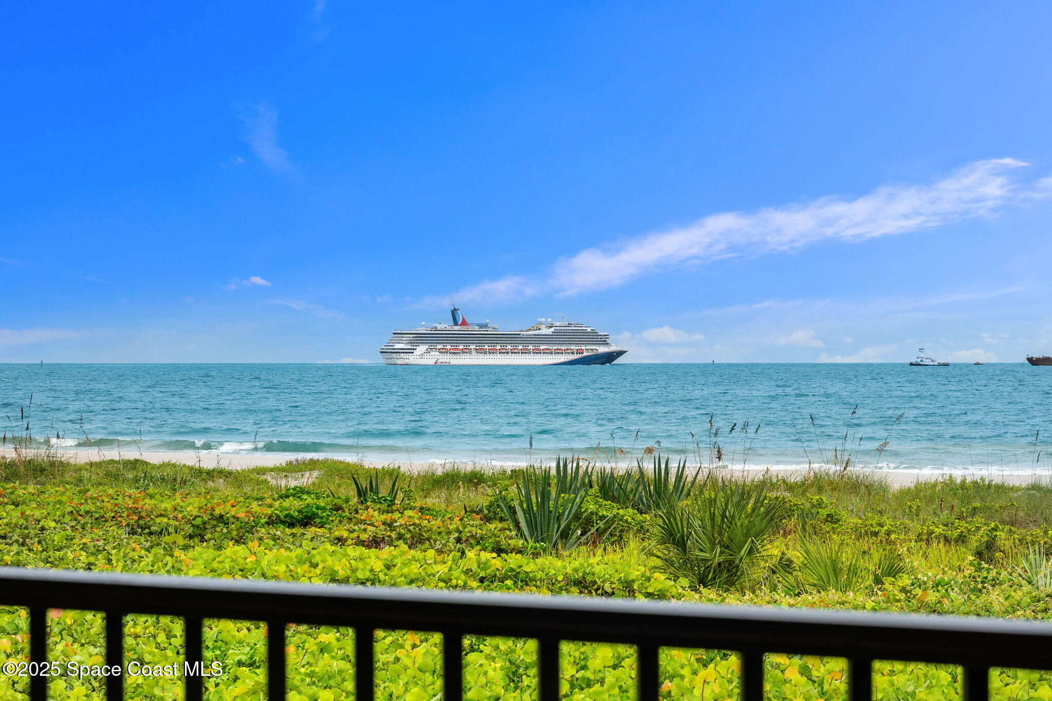 8496 Ridgewood Avenue 3205