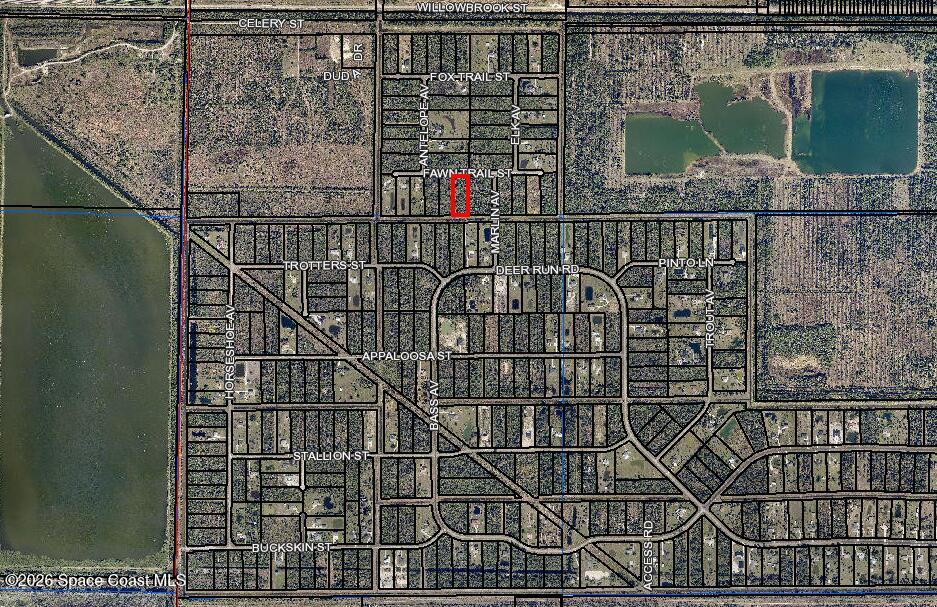 325 Fawn Trail Street