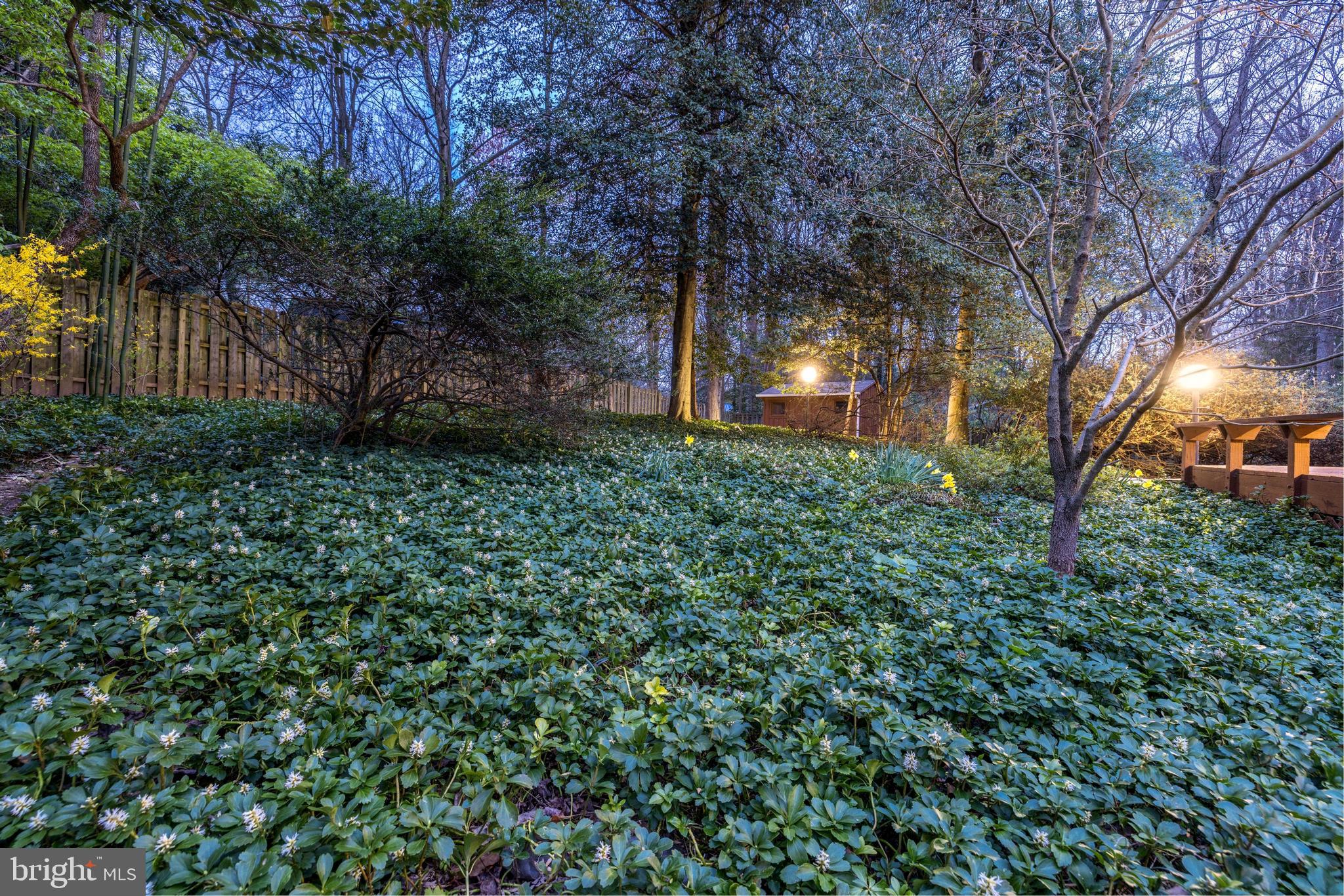 8042 Park Overlook Dr