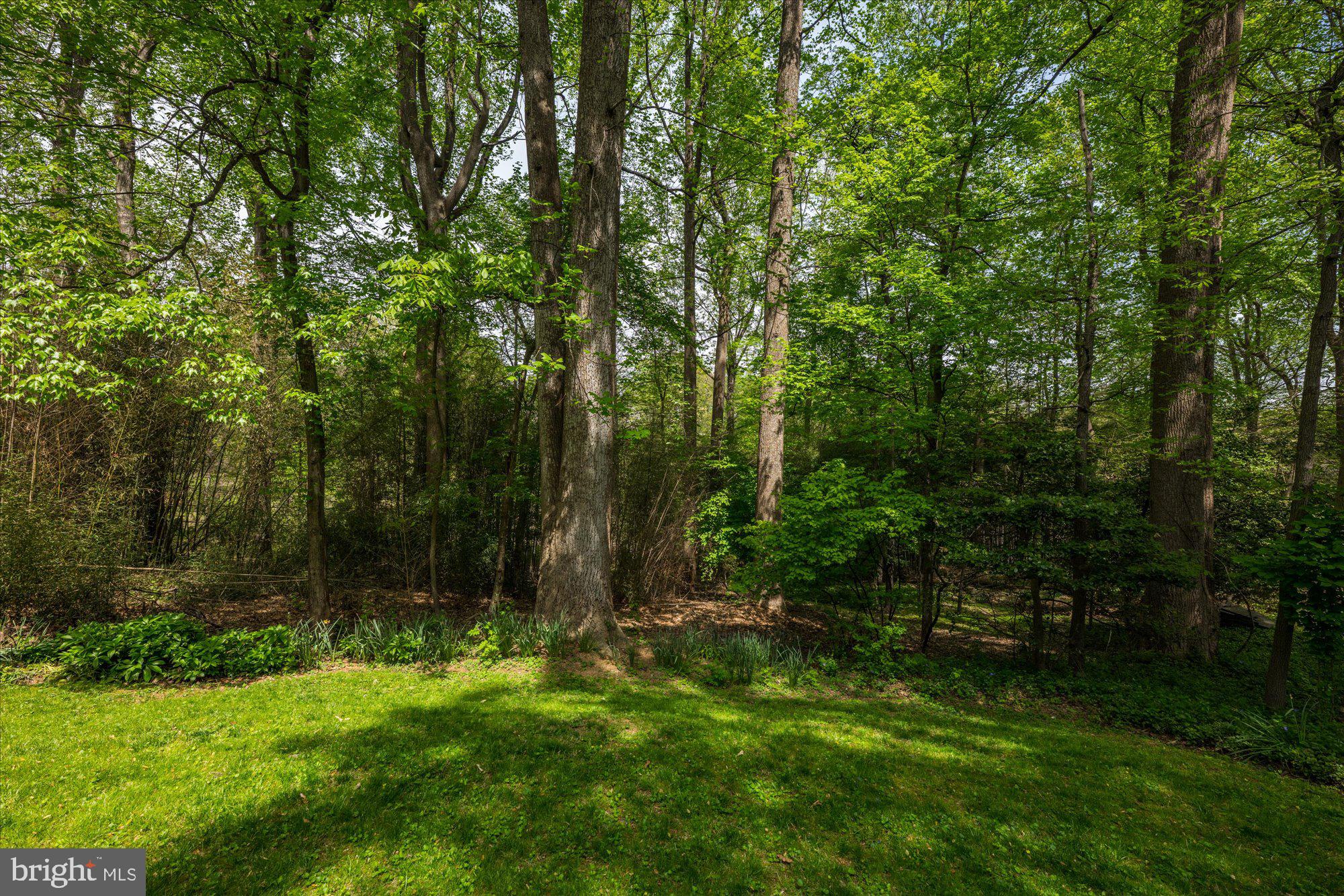 8625 Fenway Rd