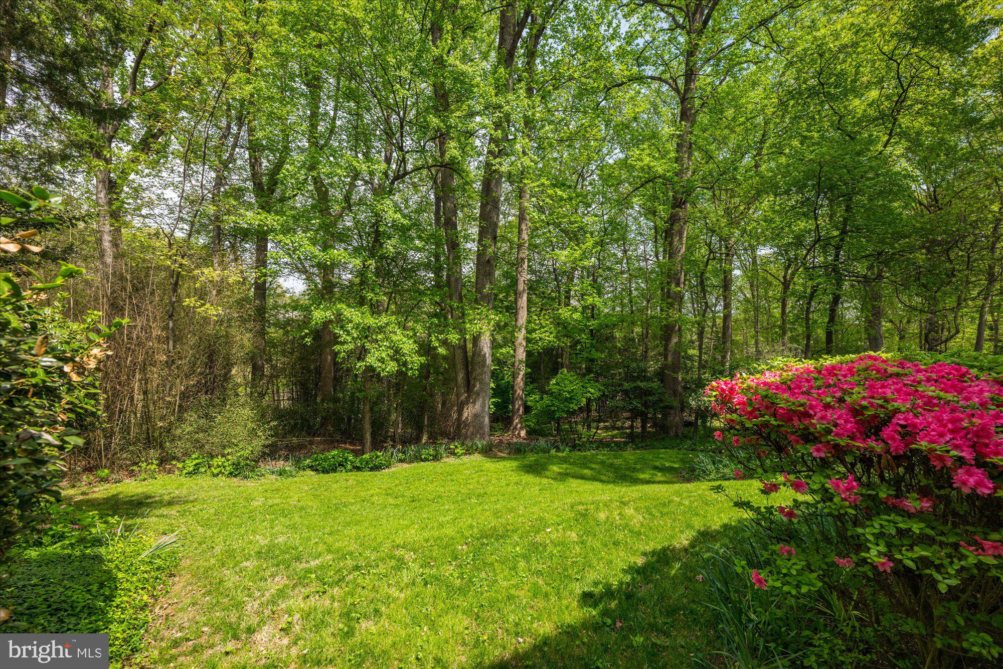 8625 Fenway Rd