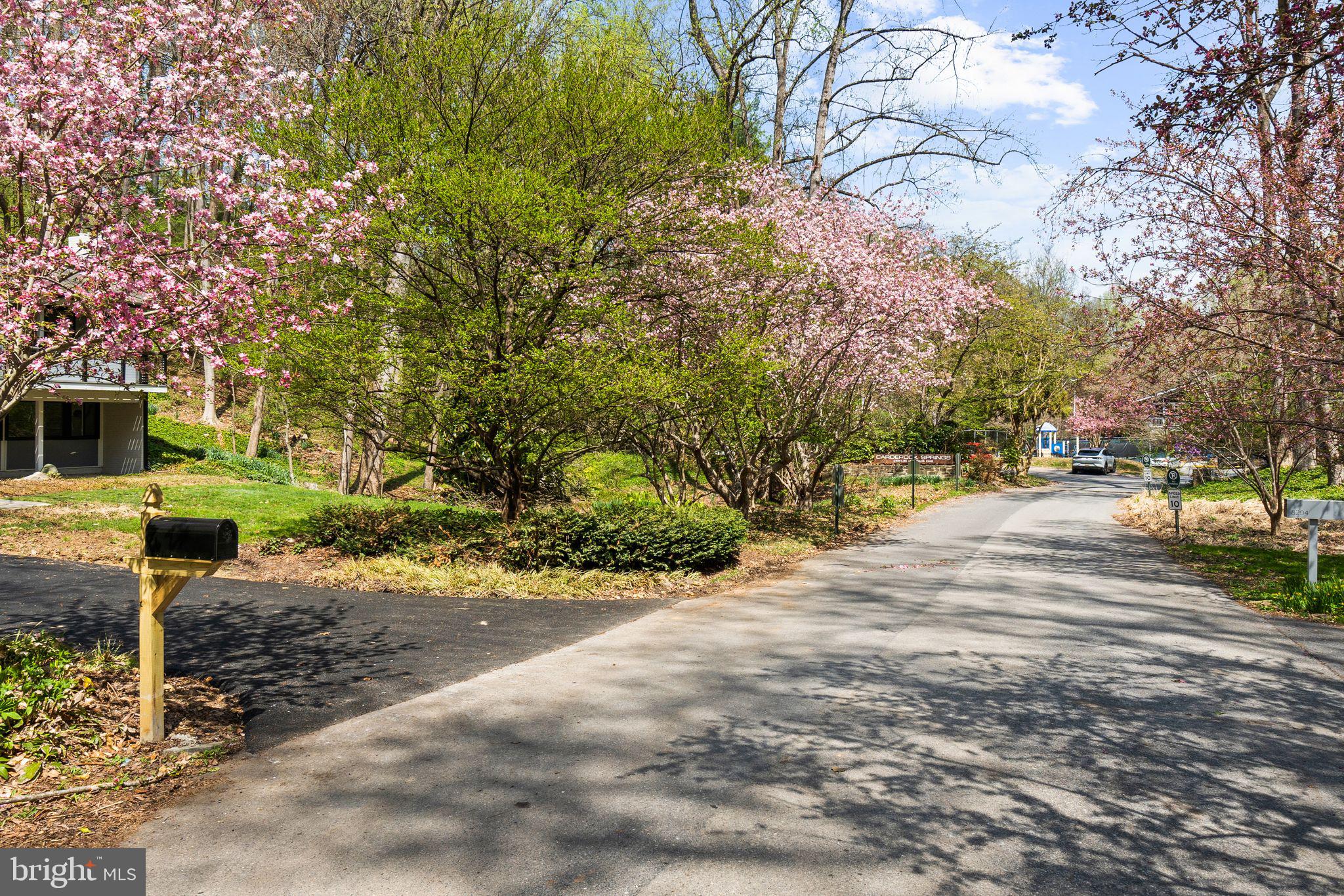 8201 HAMILTON SPRING COURT