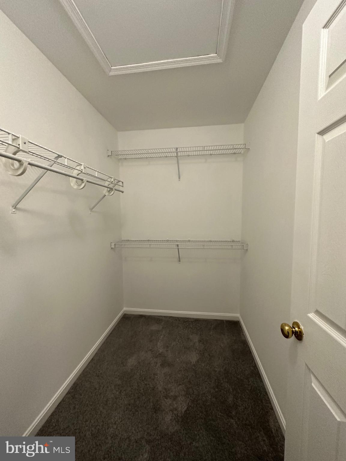 4803 Cowslip COURT