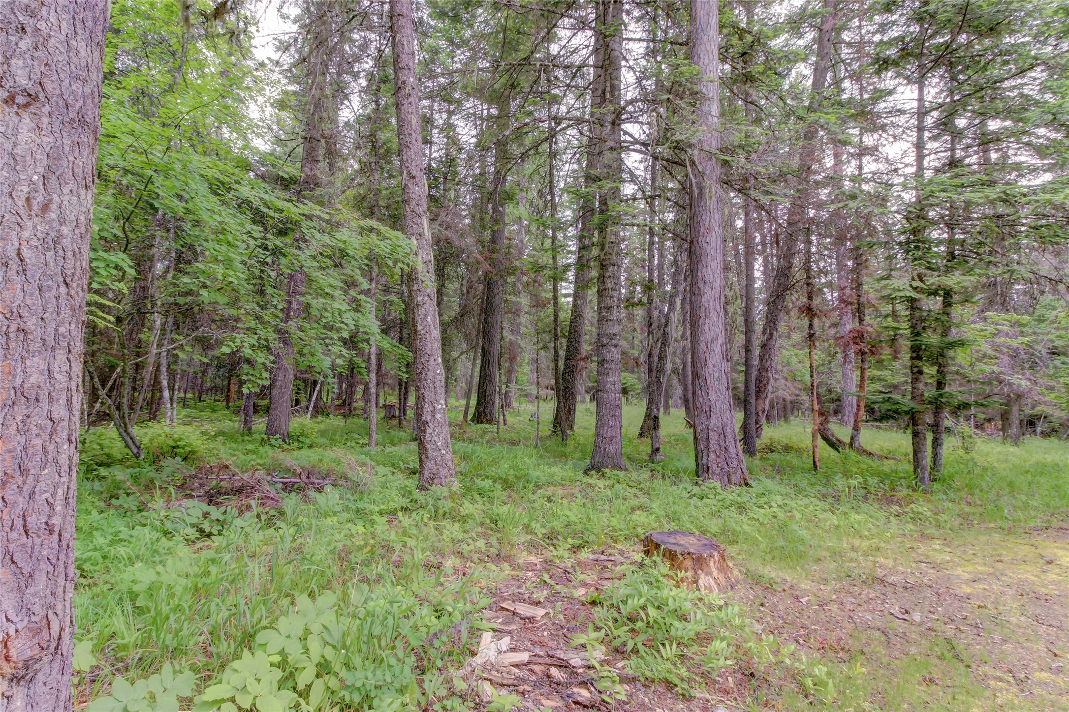 3265 Foothill Road