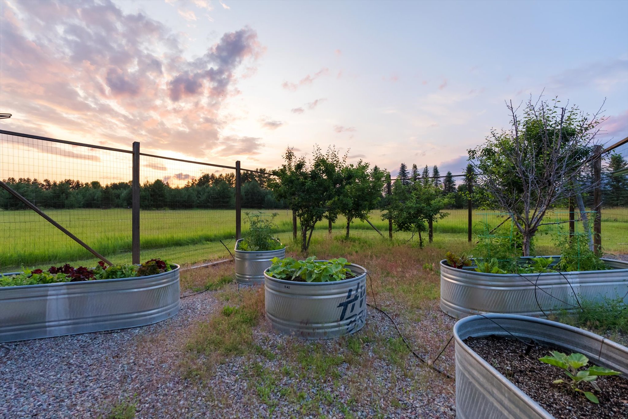 639 Three Eagle Lane