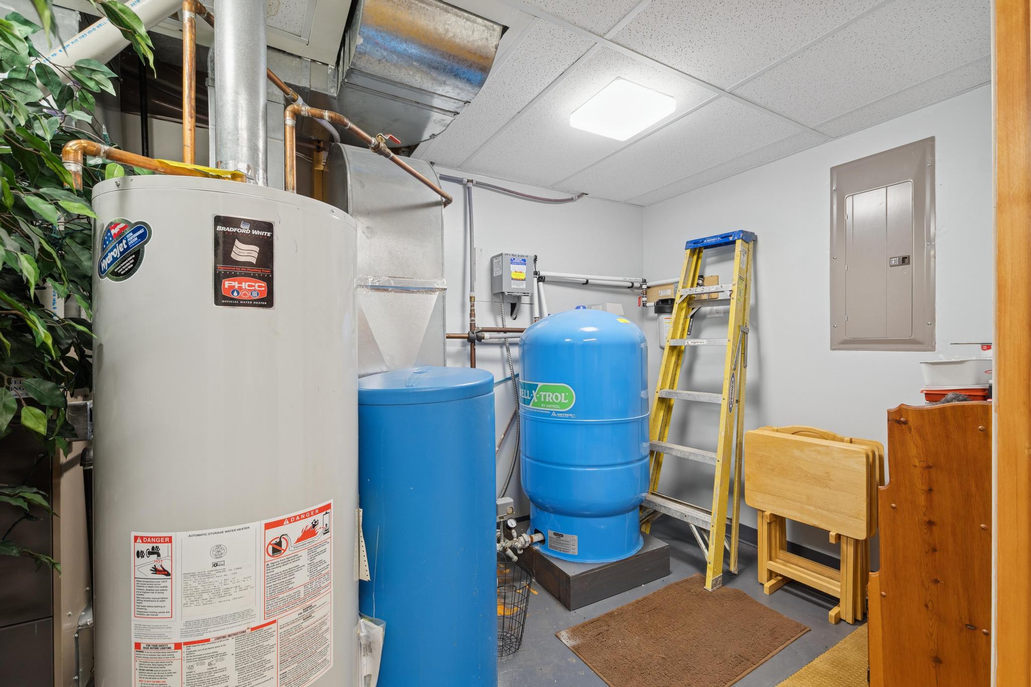 115 Scotch Pine Lane