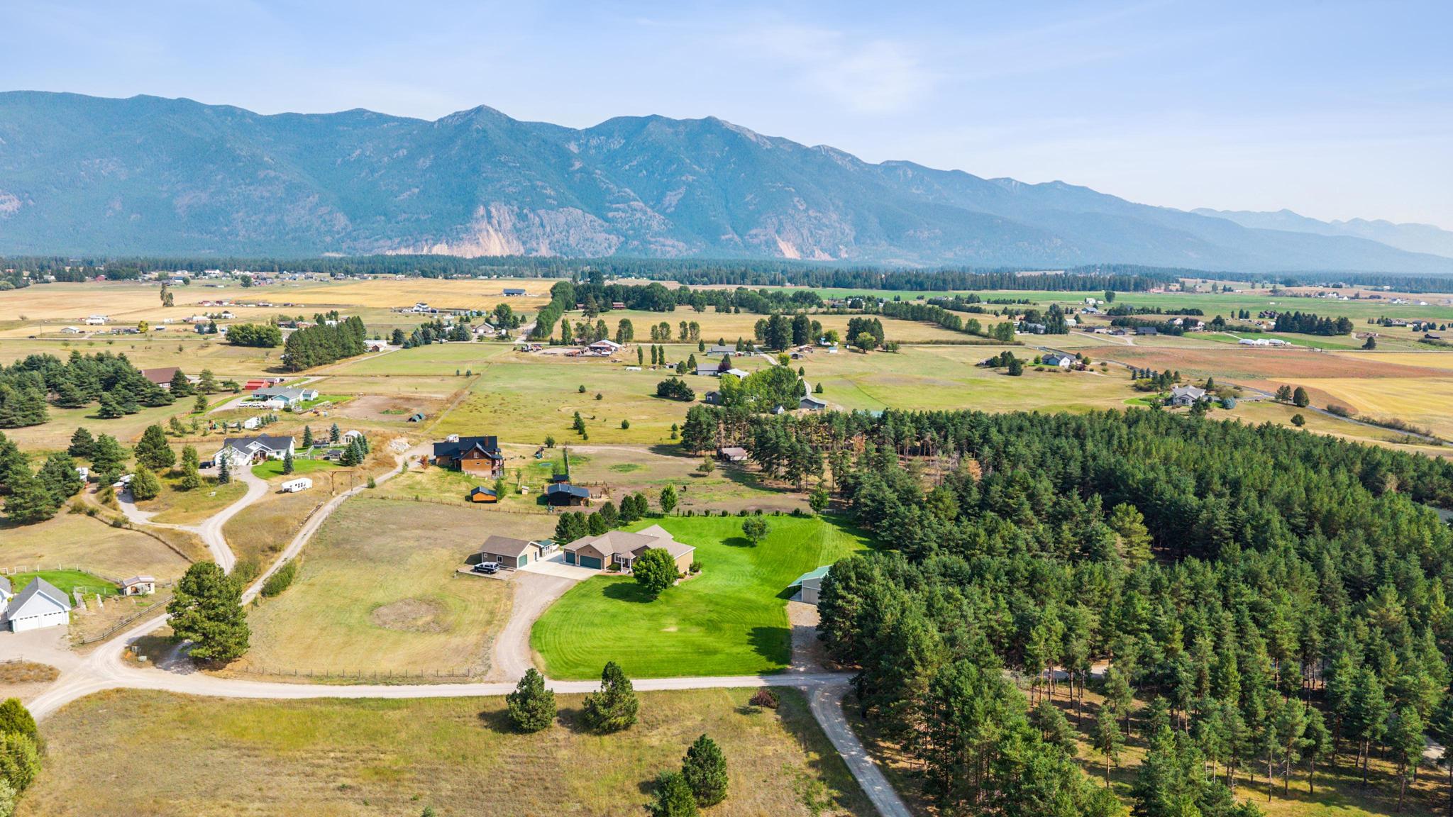 115 Scotch Pine Lane