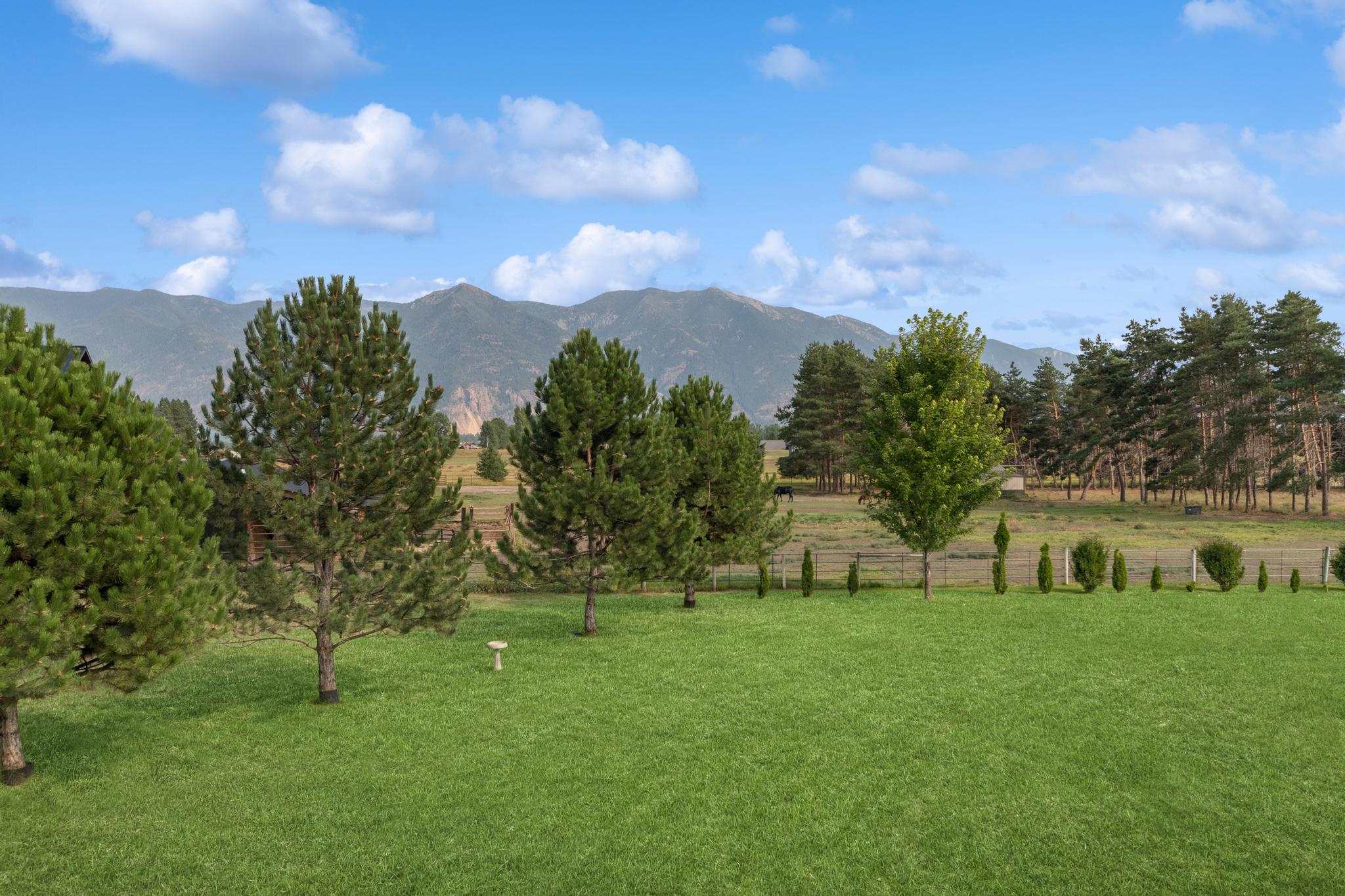 115 Scotch Pine Lane