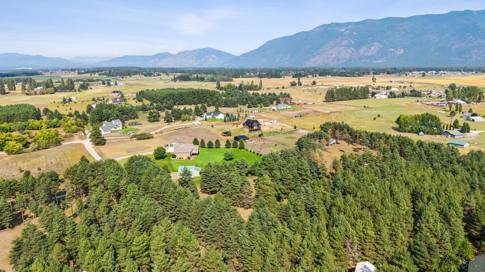 115 Scotch Pine Lane