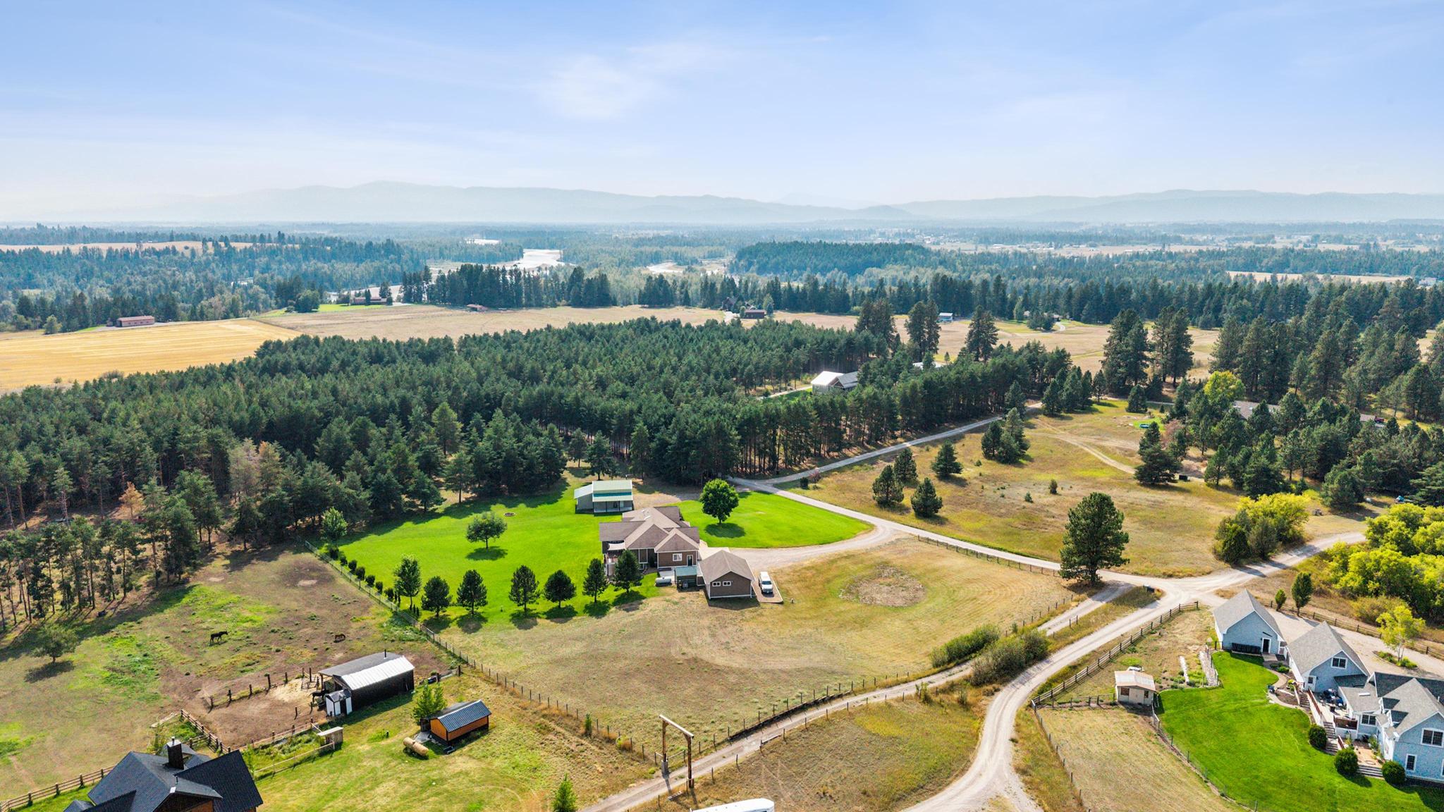 115 Scotch Pine Lane