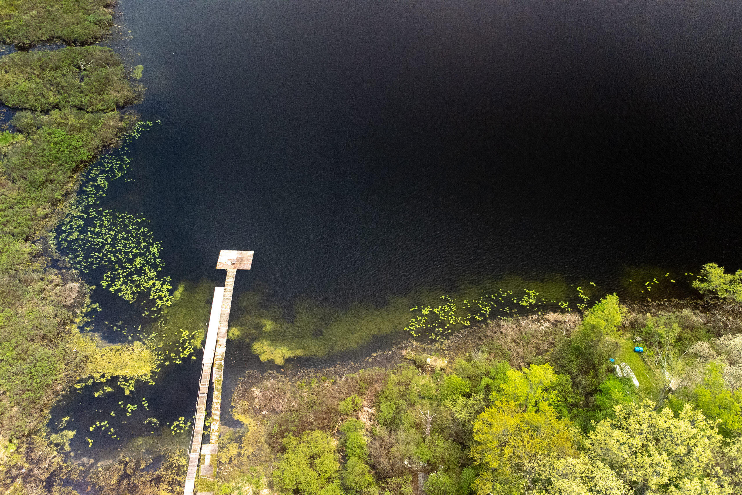 10638 N Bitely Avenue