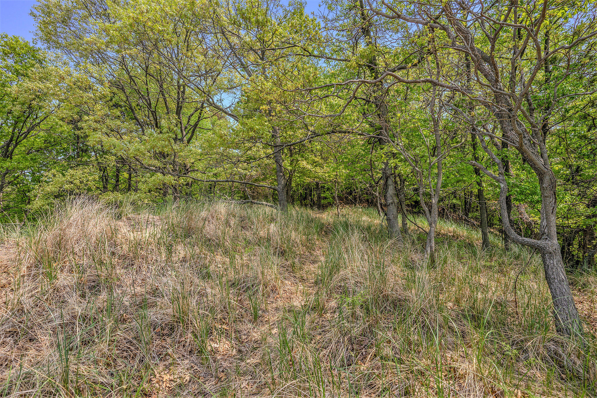 3507 Winnetaska Road