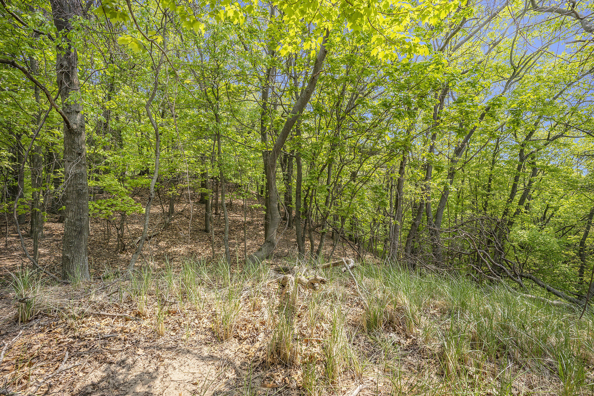 3507 Winnetaska Road