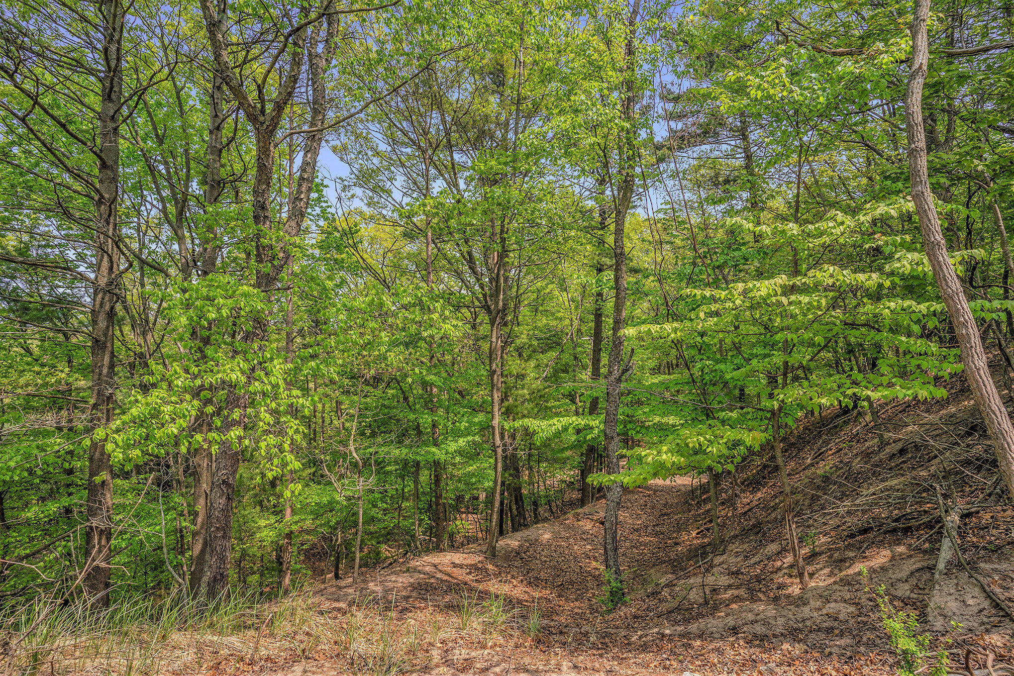 3507 Winnetaska Road