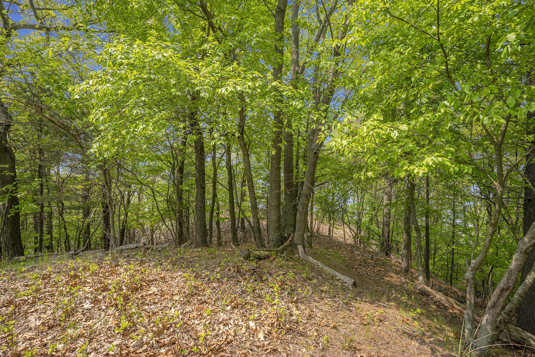 3507 Winnetaska Road