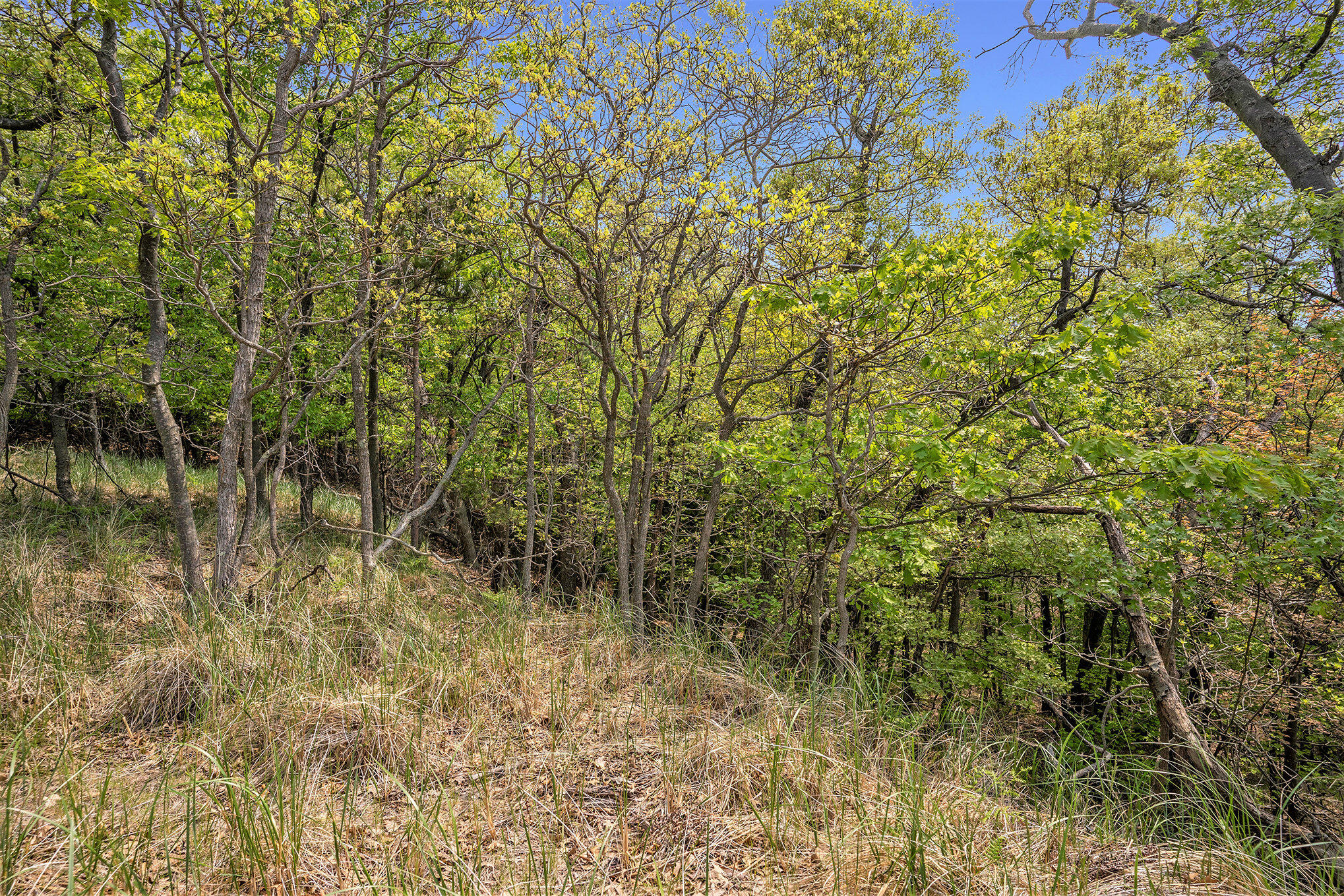 3507 Winnetaska Road