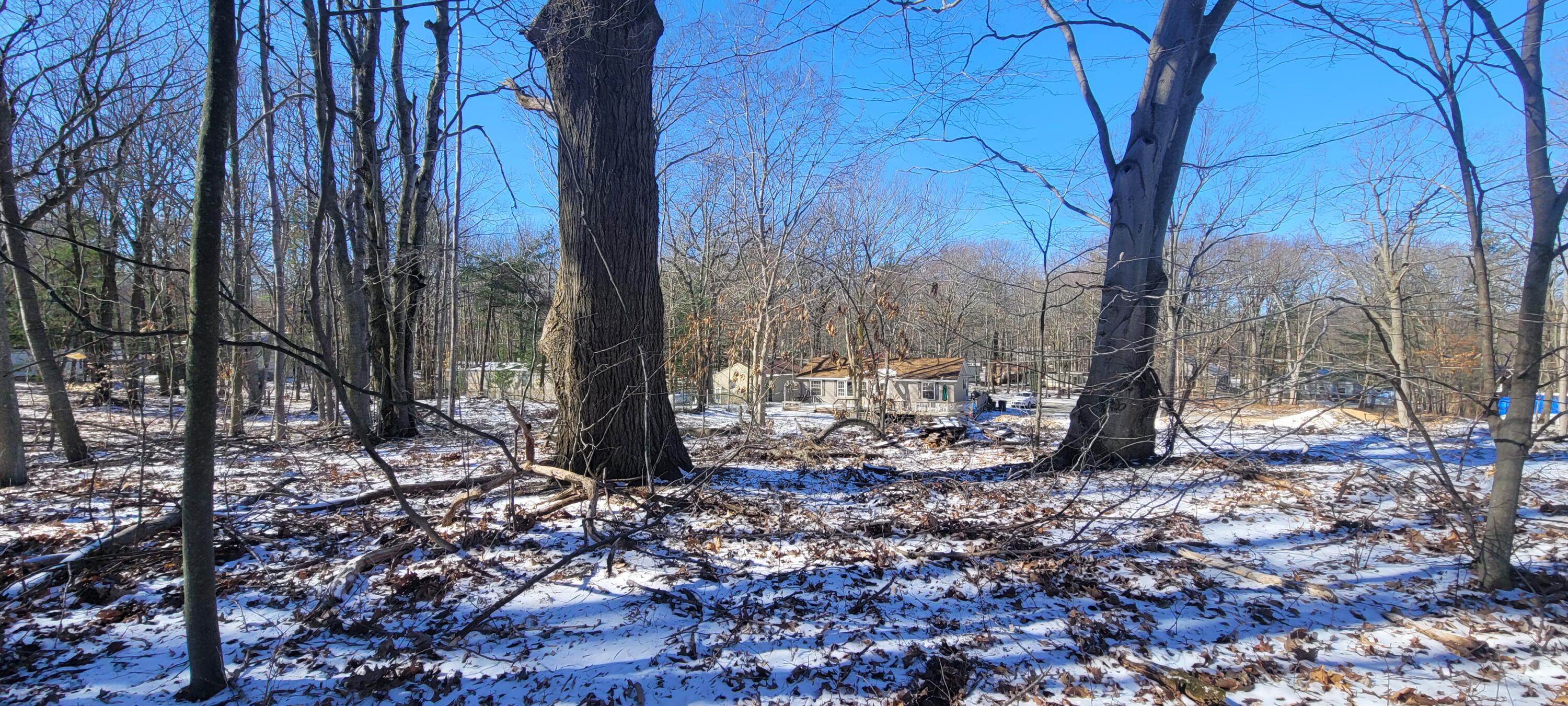 0 Lot 143 W Wildridge Road, 143