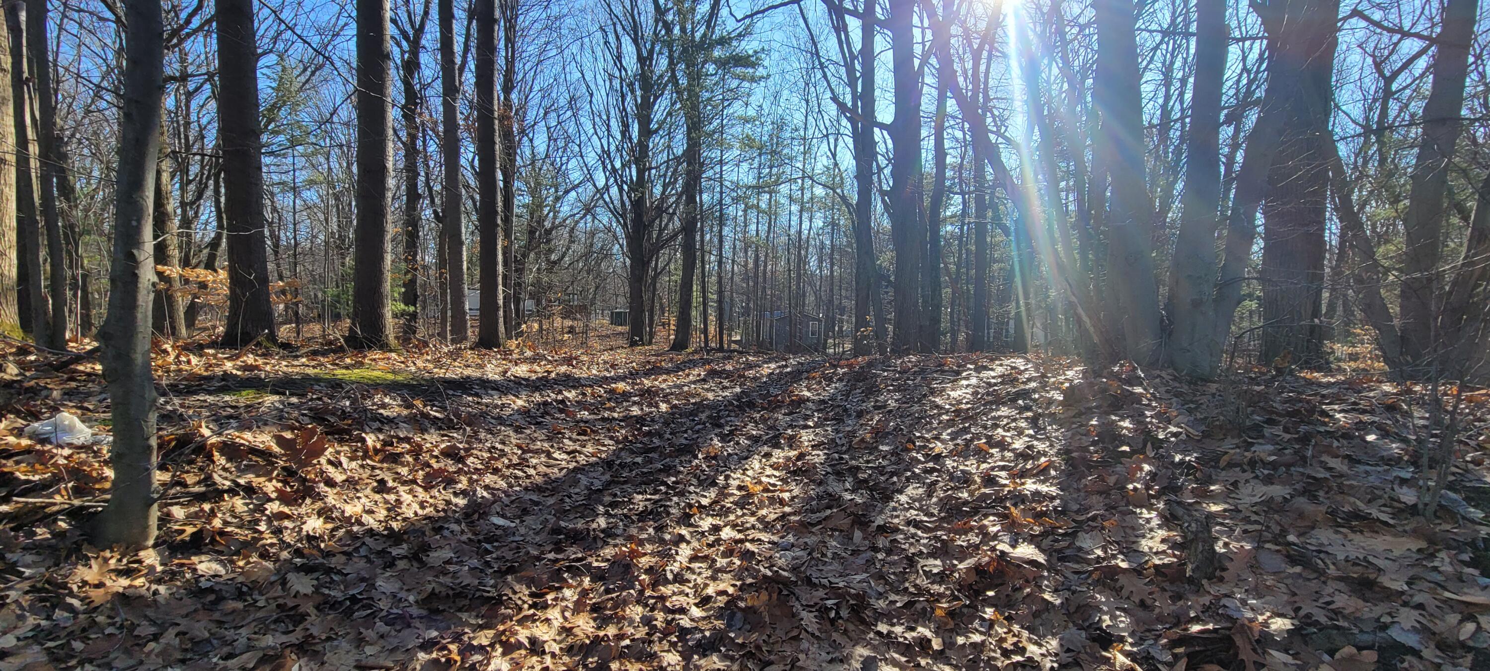 0 Lot 143 W Wildridge Road, 143